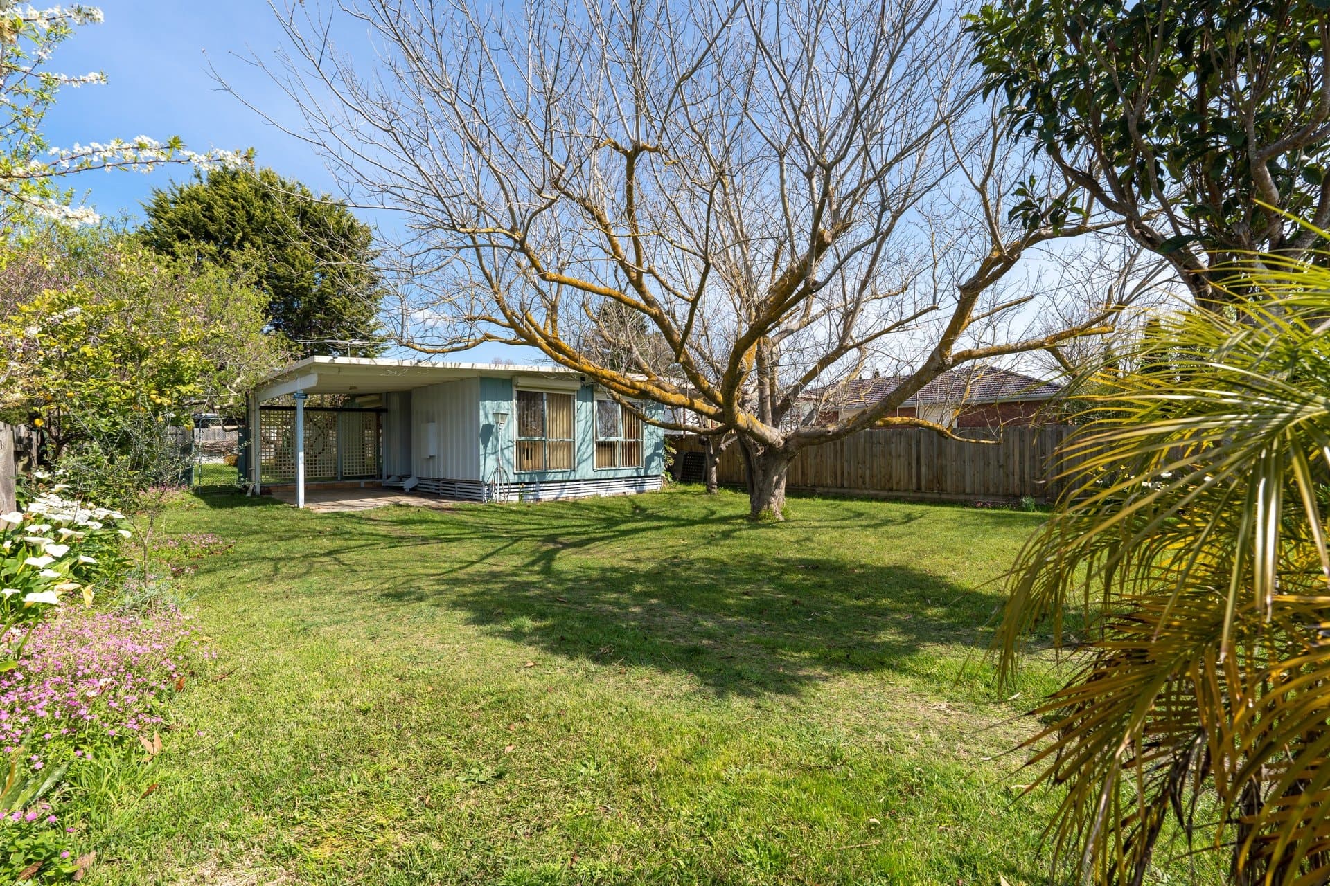 59 Alma Street, TOOTGAROOK, VIC, 3941, Tootgarook - Image 1