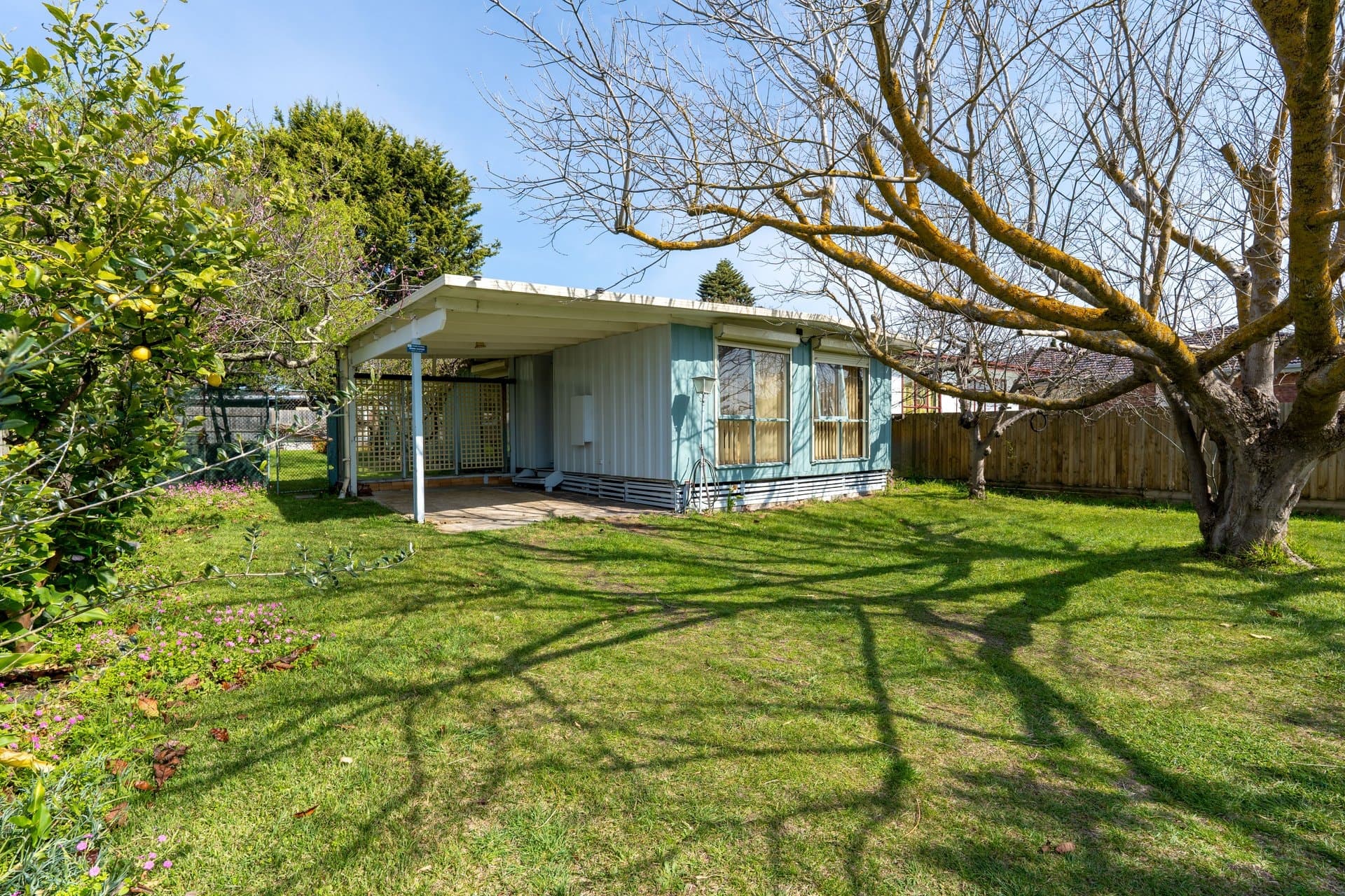 59 Alma Street, TOOTGAROOK, VIC, 3941, Tootgarook - Thumbnail 2