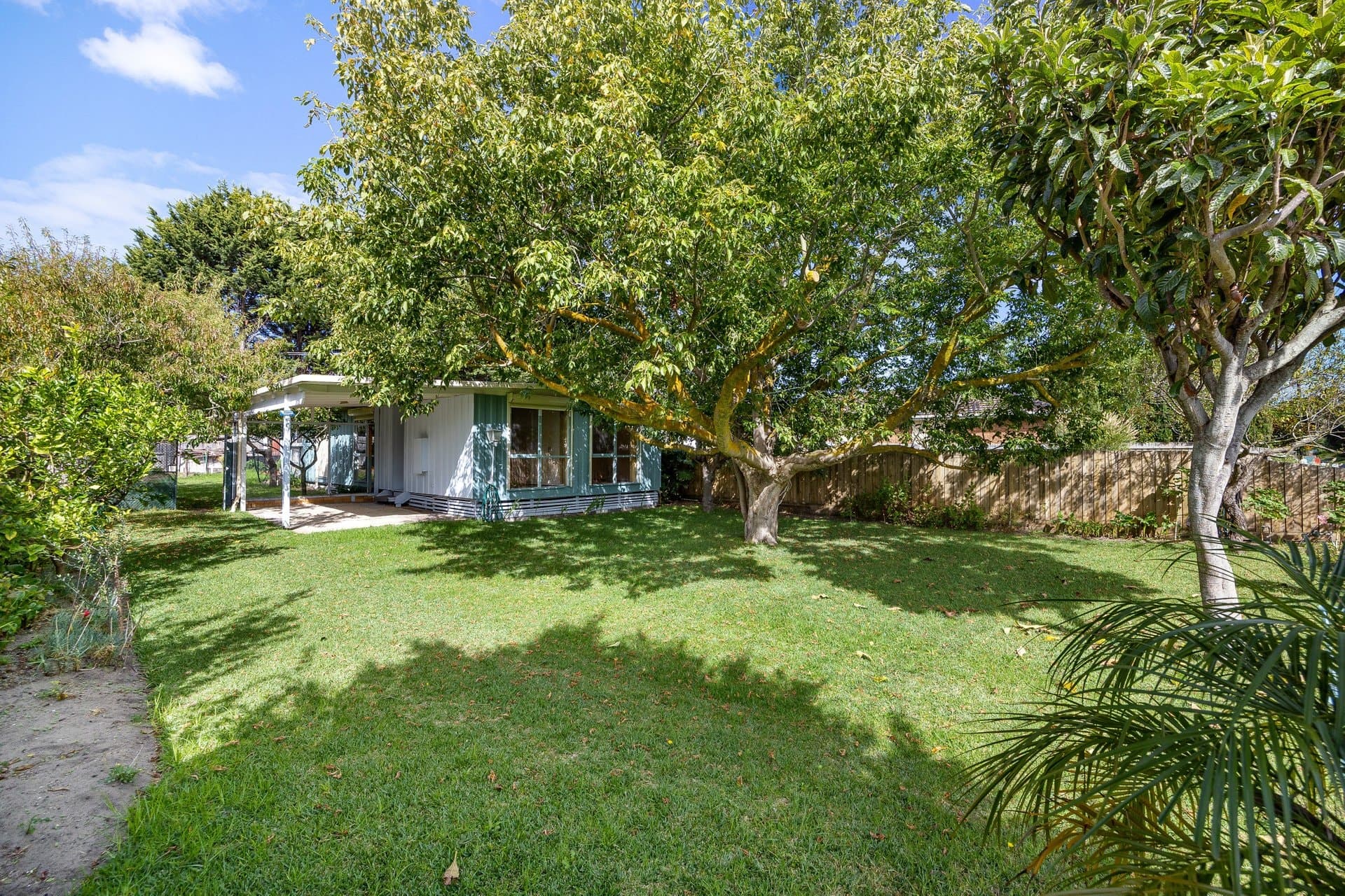 59 Alma Street, TOOTGAROOK, VIC, 3941, Tootgarook - Thumbnail 4