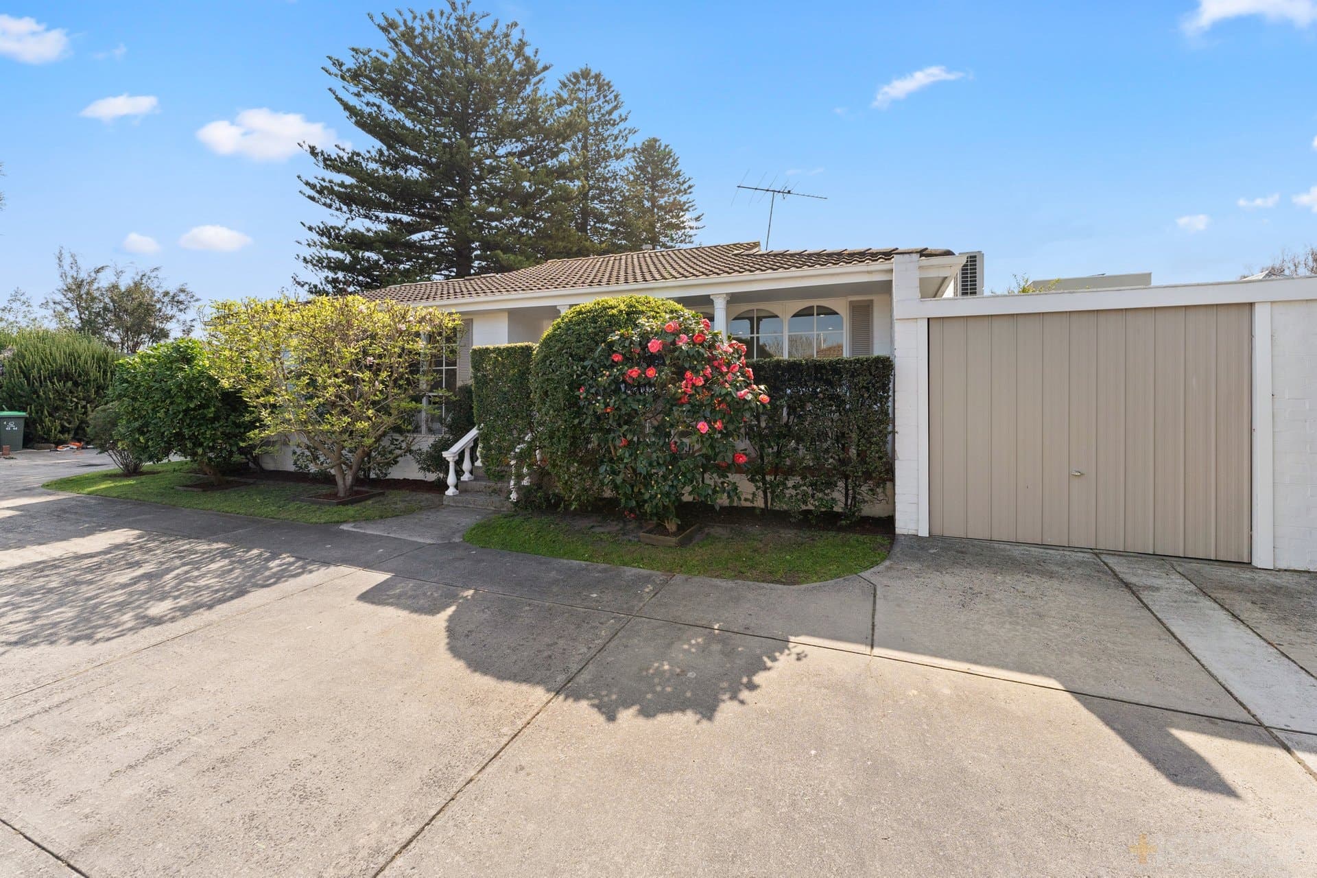 4 / 42 Edward Street, Sandringham, VIC, 3191, Sandringham - Thumbnail 2