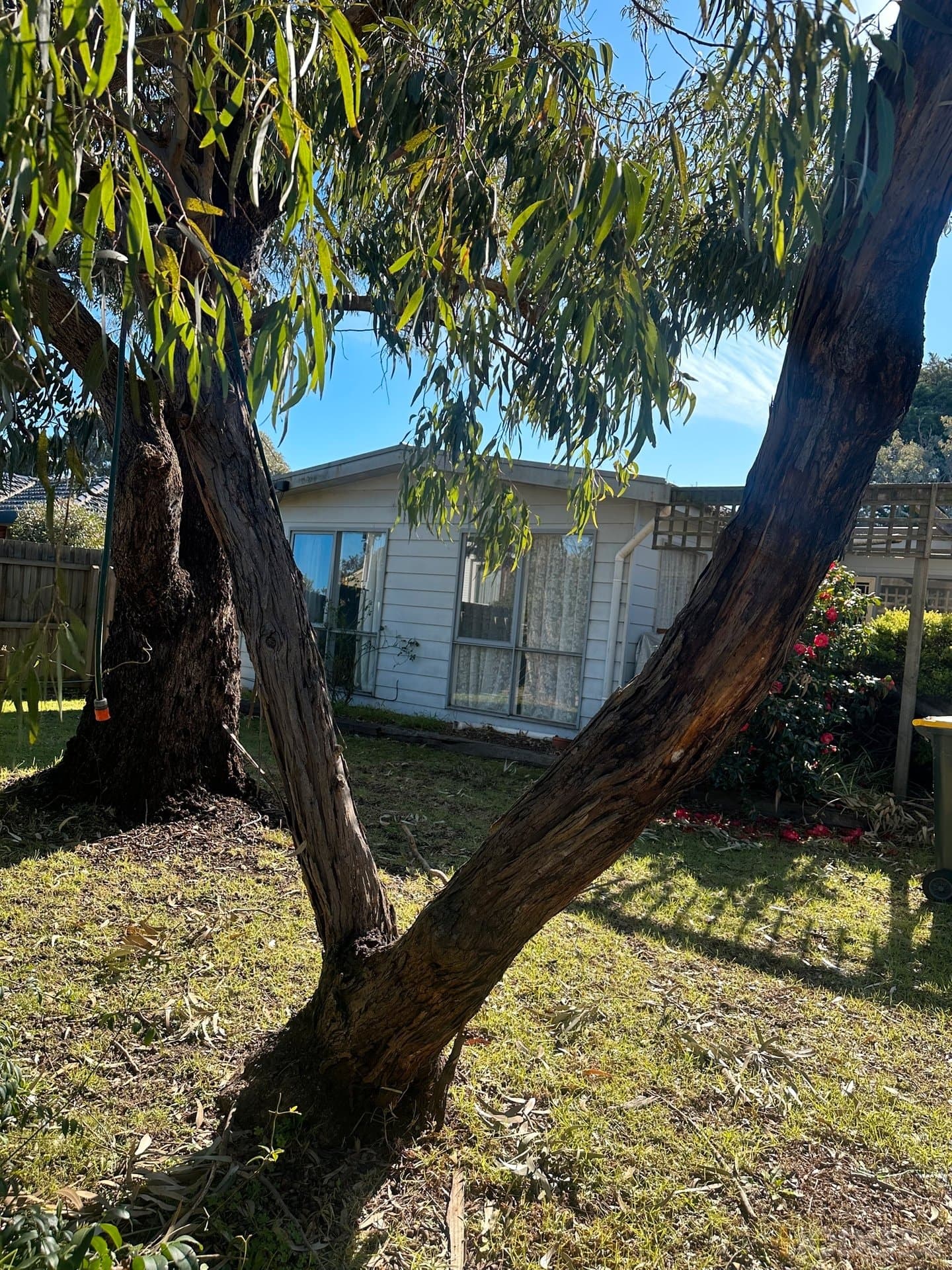 13 Kurrajong Court, Ocean Grove, VIC, 3226, Ocean Grove - Image 1