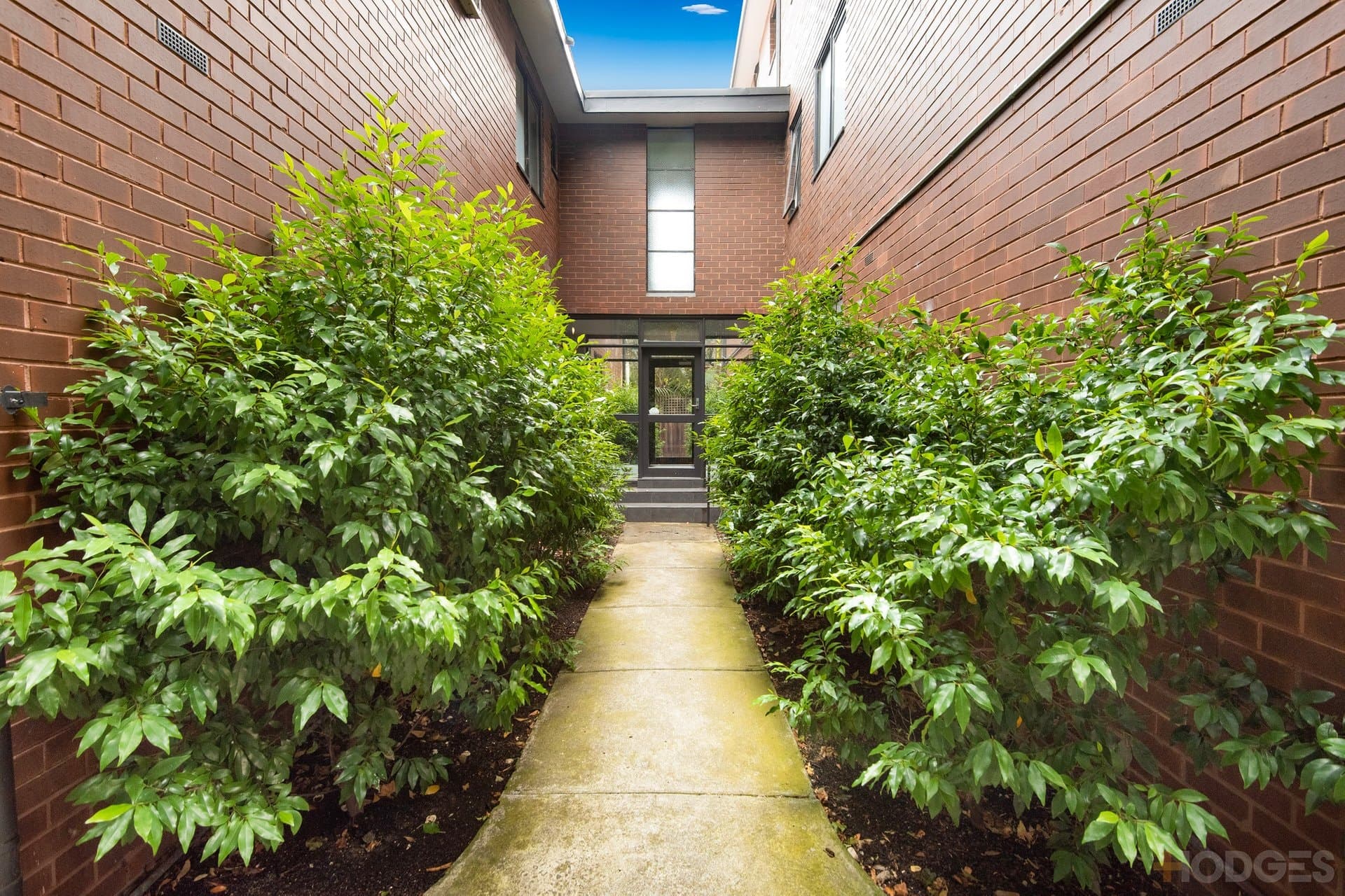 9 / 31 Dickens Street, Elwood, VIC, 3184, Elwood - Thumbnail 4