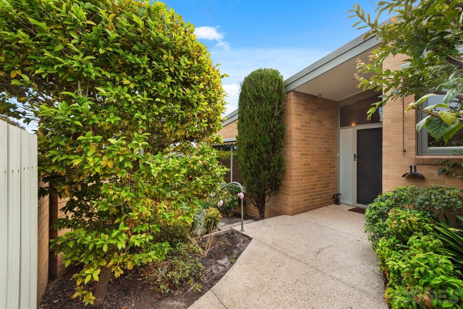 24 Iluka Street, Black Rock, VIC, 3193, Black Rock - Thumbnail 2