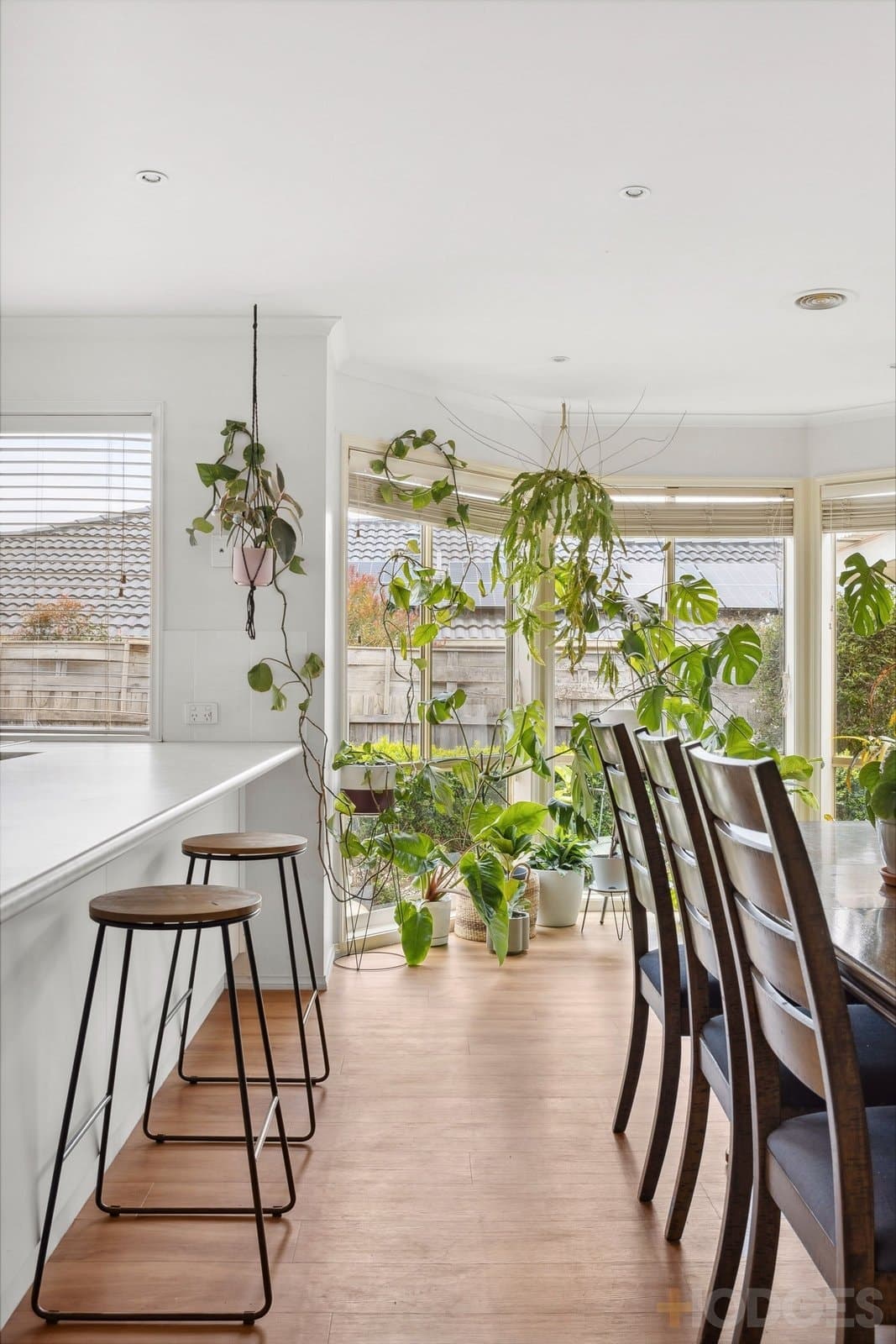 14 Lochlan Court, Leopold, VIC, 3224, Leopold - Thumbnail 7