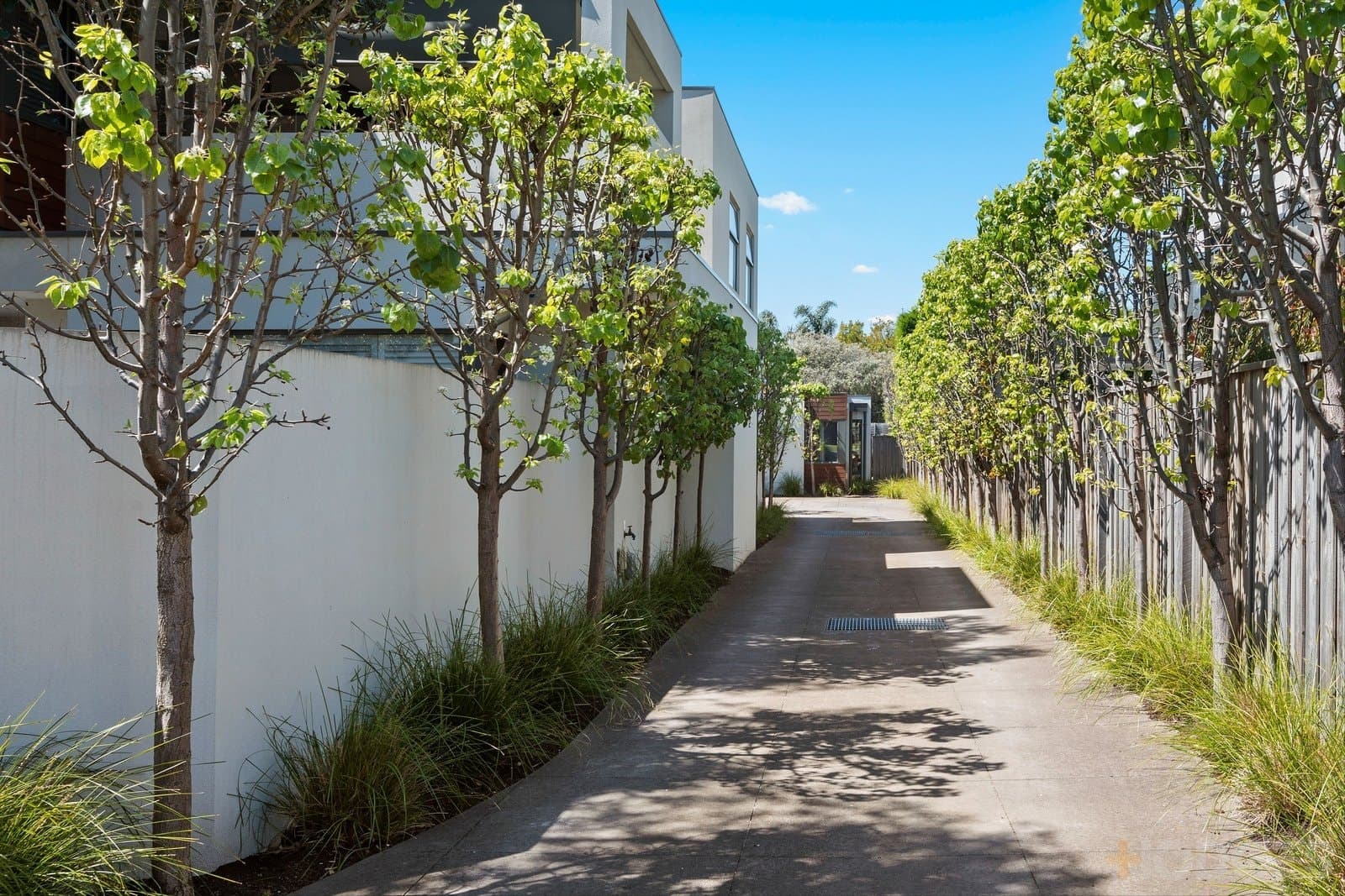 2 / 19 Central Avenue, Black Rock, VIC, 3193, Black Rock - Thumbnail 7