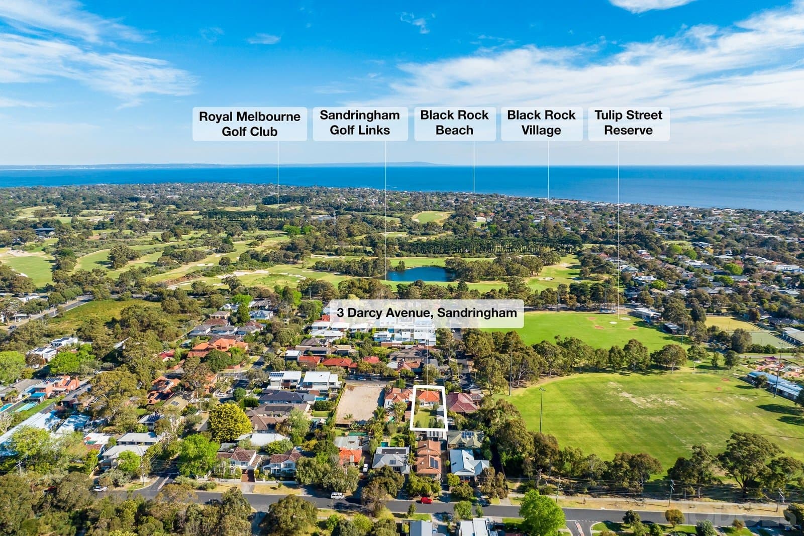 3 Darcy Avenue, Sandringham, VIC, 3191, Sandringham - Thumbnail 2