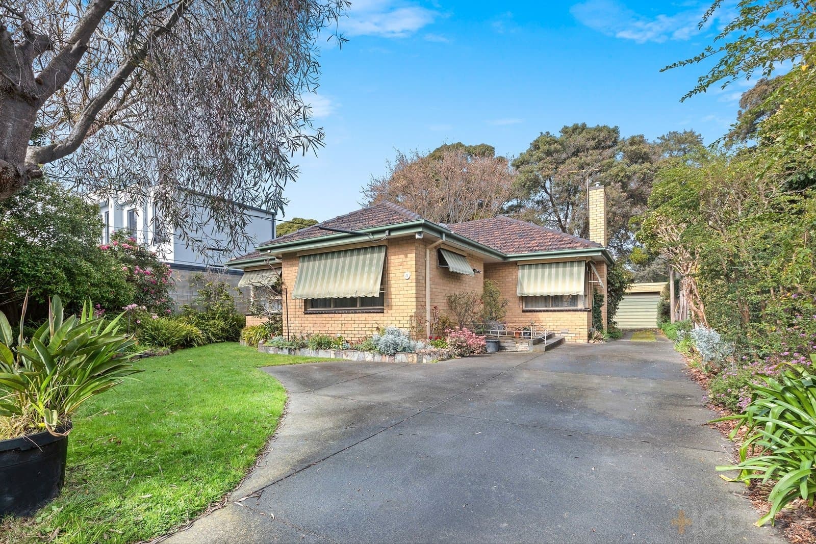 8 Armstrong Street, Beaumaris, VIC, 3193, Beaumaris - Image 1