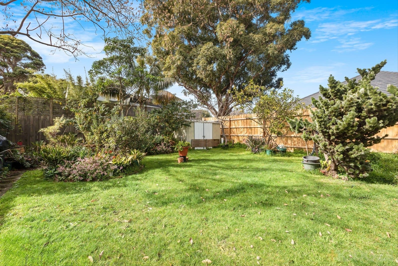 8 Armstrong Street, Beaumaris, VIC, 3193, Beaumaris - Thumbnail 6