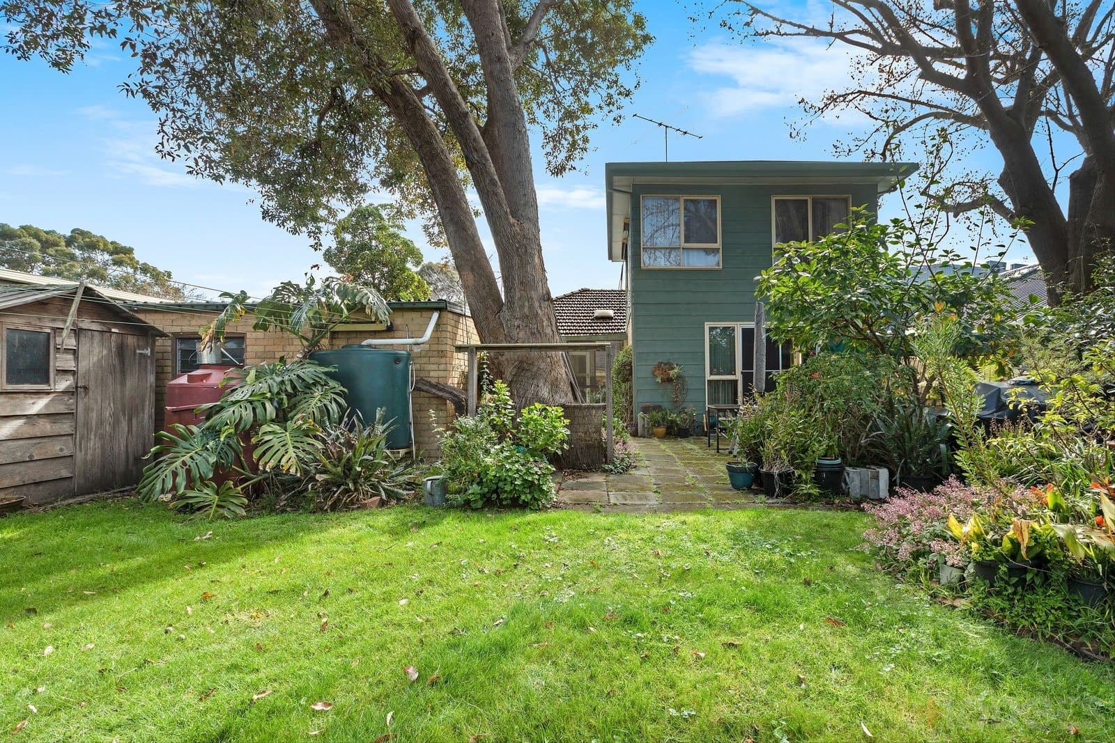 8 Armstrong Street, Beaumaris, VIC, 3193, Beaumaris - Thumbnail 7