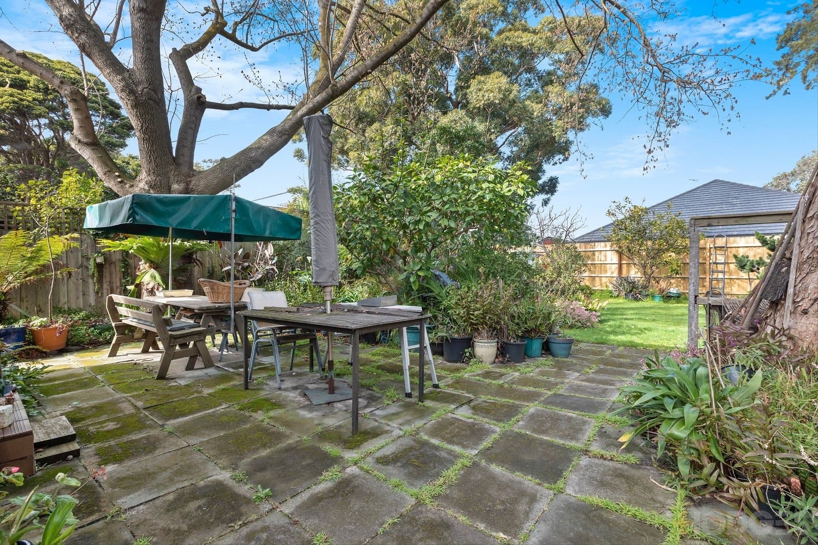 8 Armstrong Street, Beaumaris, VIC, 3193, Beaumaris - Thumbnail 8