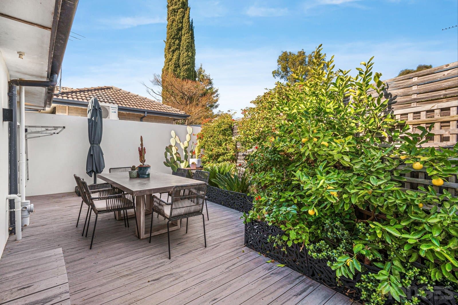 3 / 20 College Street, Elsternwick, VIC, 3185, Elsternwick - Thumbnail 6