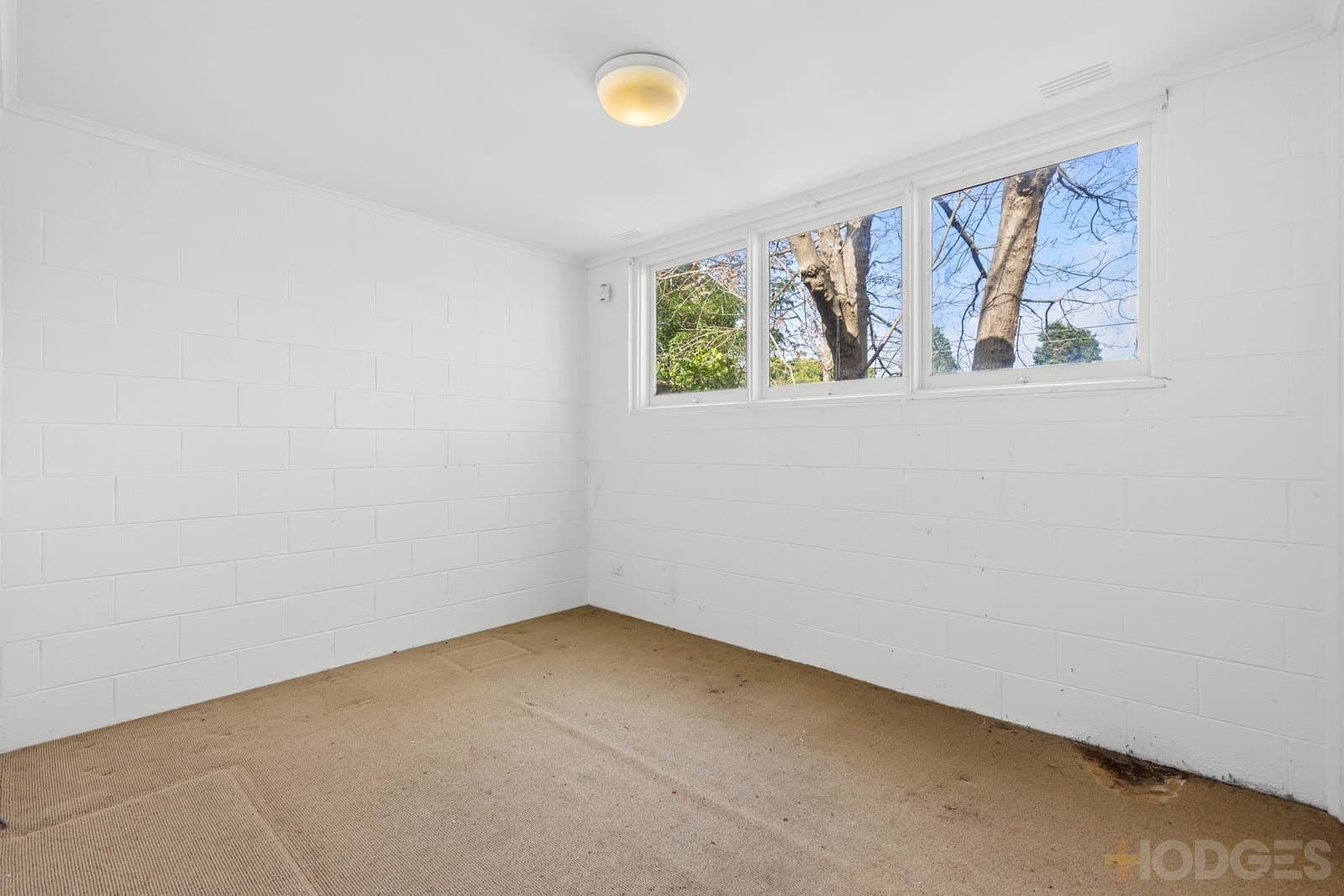 1 Tandara Court, Black Rock, VIC, 3193, Black Rock - Thumbnail 6