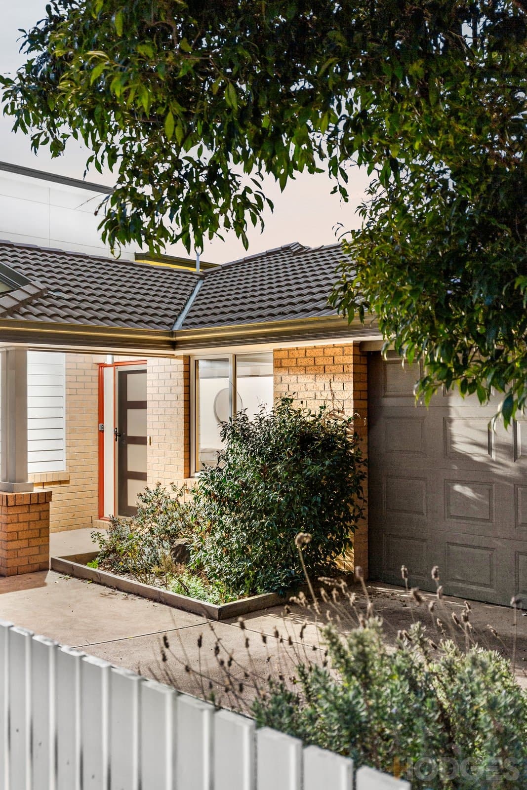 66 Presidents Avenue, Ocean Grove, VIC, 3226, Ocean Grove - Thumbnail 2