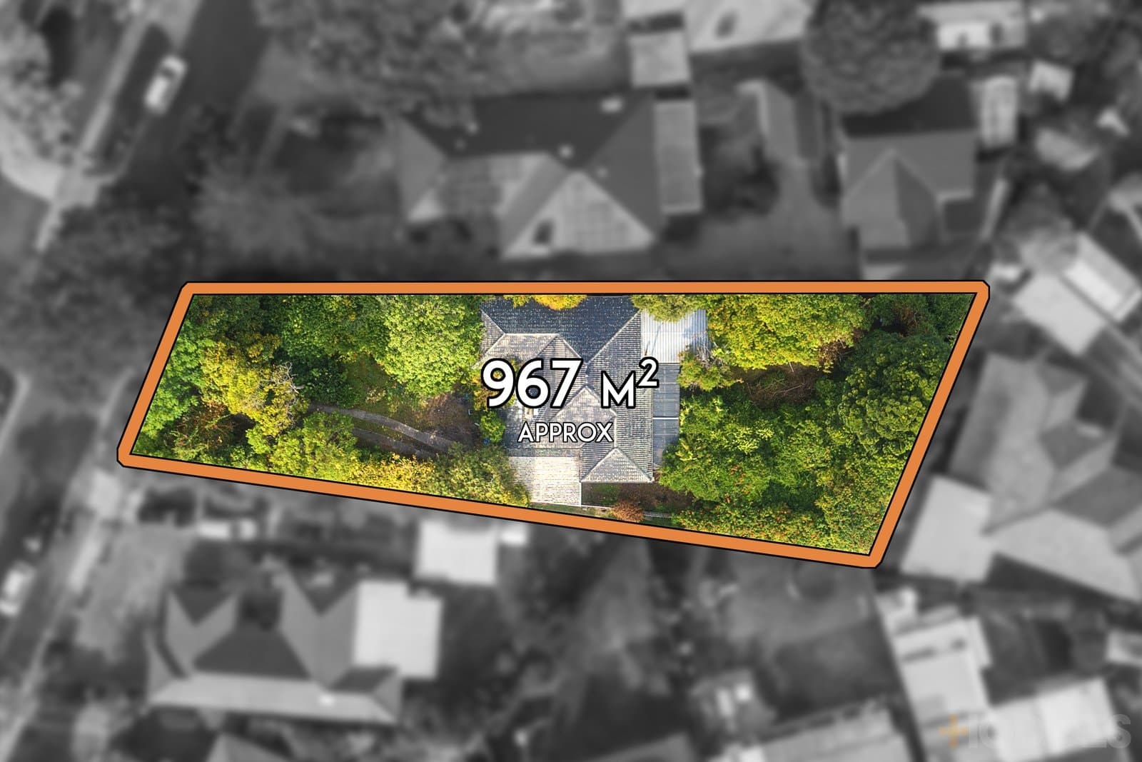 20 Camelia Grove, Cheltenham, VIC, 3192, Cheltenham - Image 1