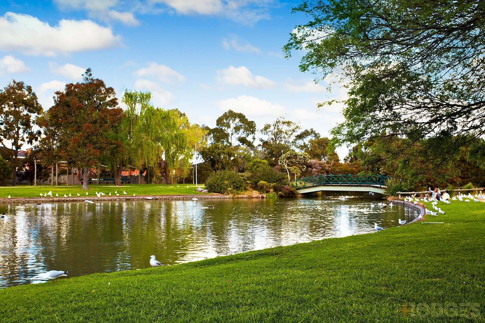 20 Camelia Grove, Cheltenham, VIC, 3192, Cheltenham - Thumbnail 7