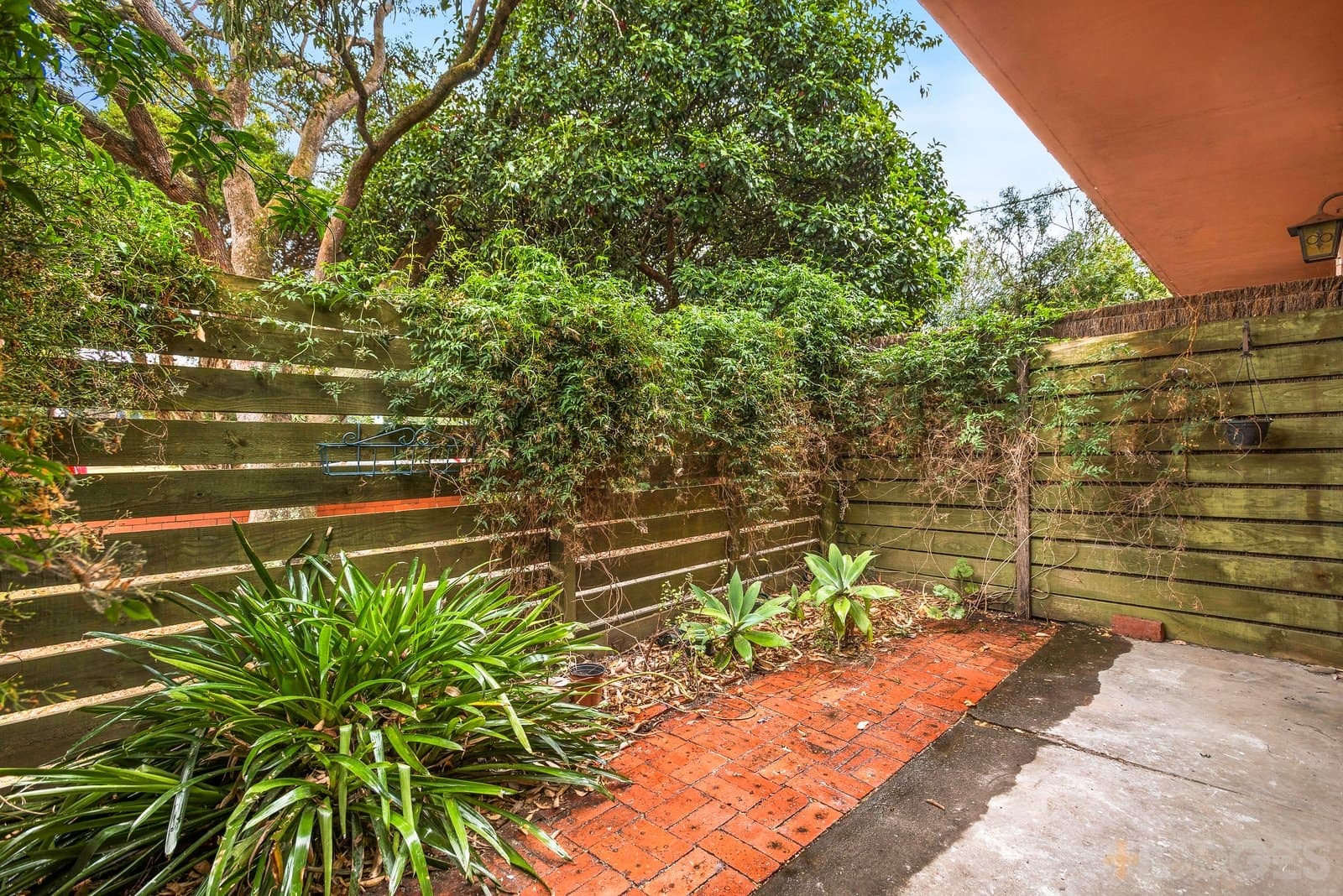 4 / 41 Northcote Avenue, Caulfield North, VIC, 3161, Caulfield North - Image 1