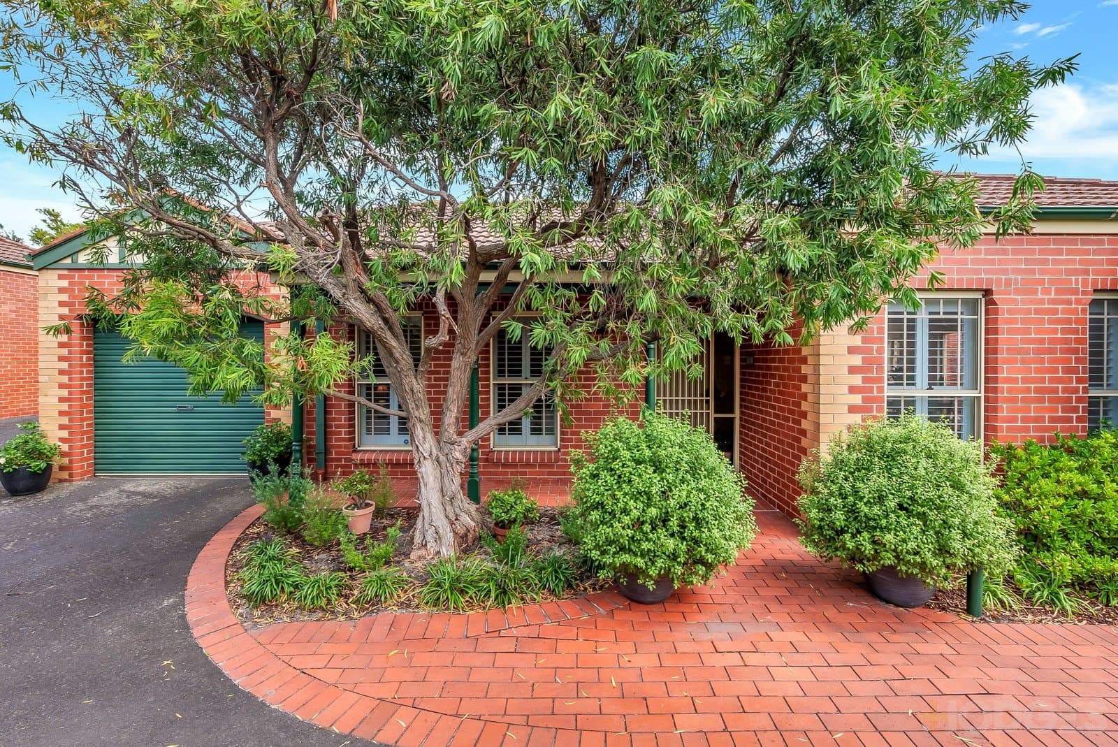 3 / 33 Collins Street, Mentone, VIC, 3194, Mentone - Thumbnail 2