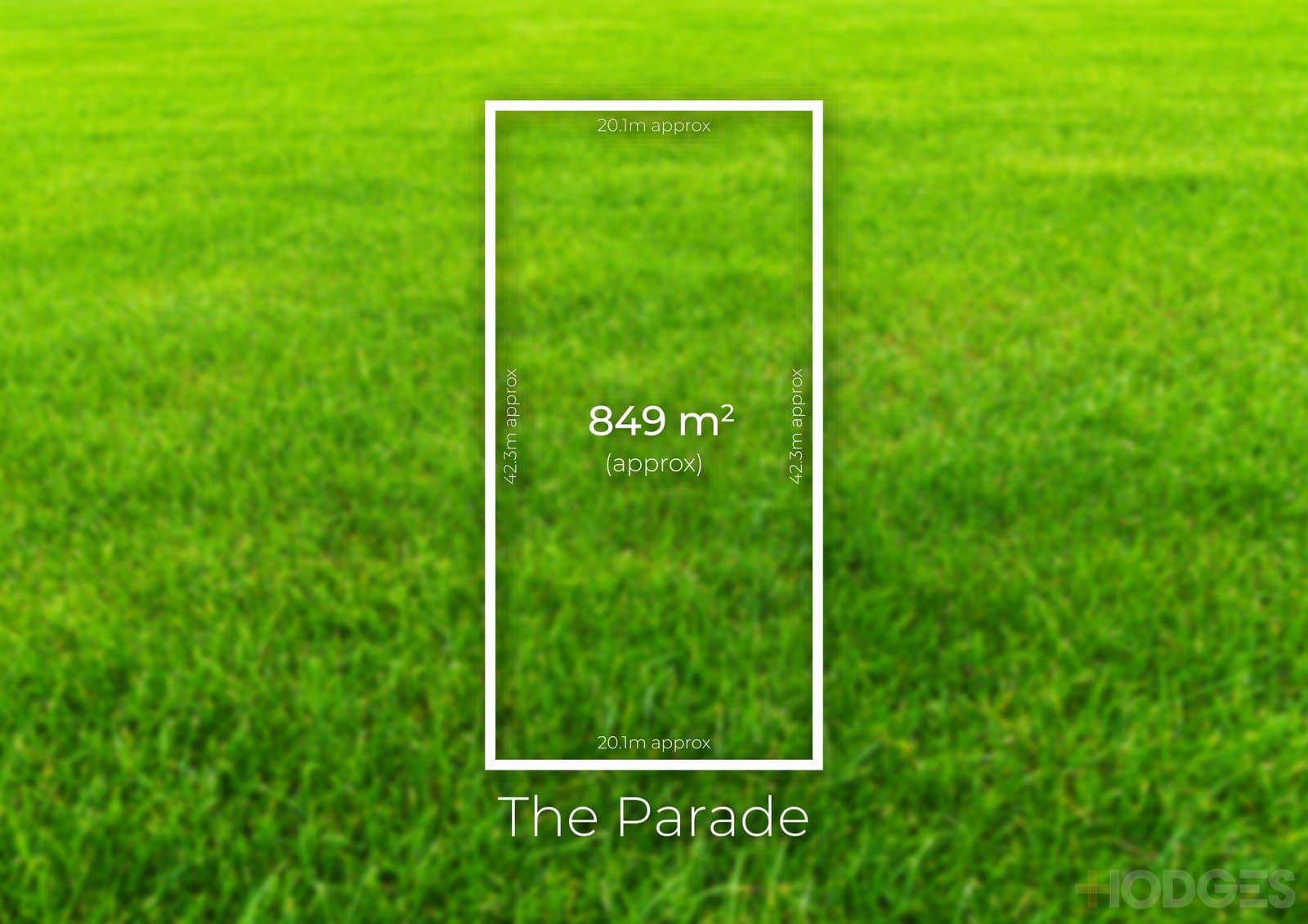 53 The Parade, Ocean Grove, VIC, 3226, Ocean Grove - Thumbnail 5