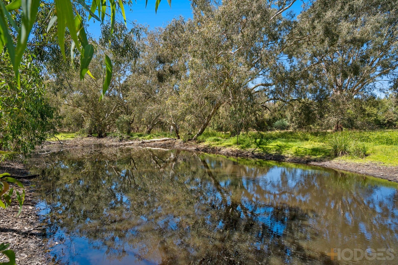 440 Winchelsea Deans Marsh Road, Winchelsea, VIC, 3241, Winchelsea - Thumbnail 6