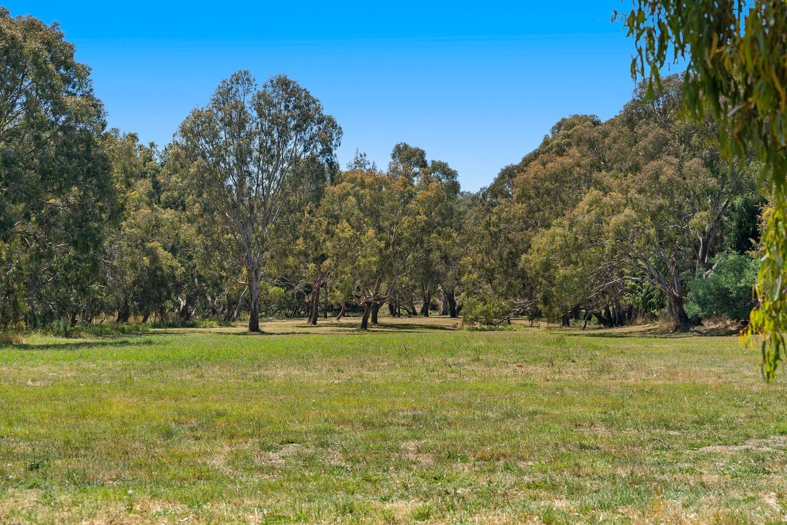 440 Winchelsea Deans Marsh Road, Winchelsea, VIC, 3241, Winchelsea - Thumbnail 7