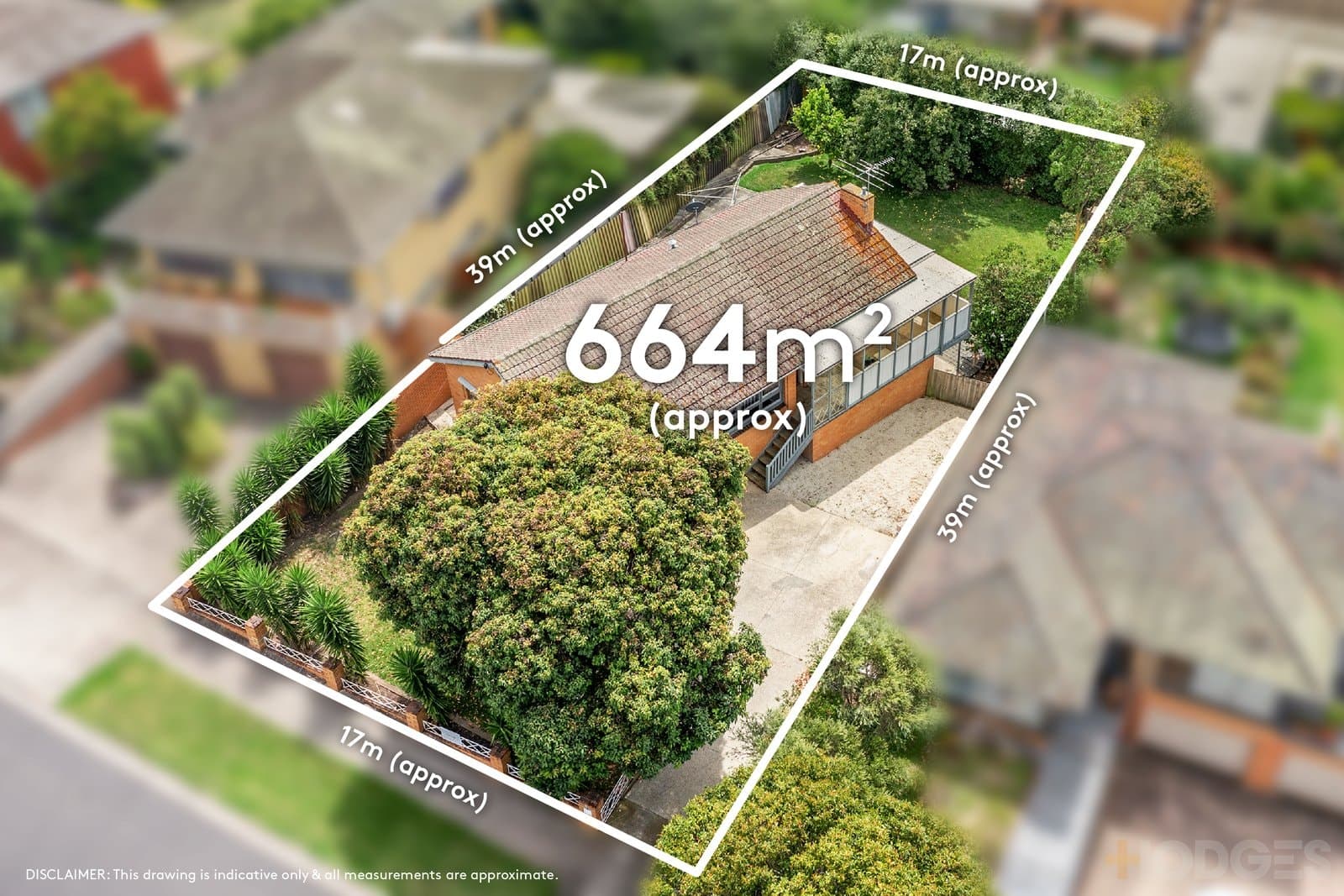 15 Edgecombe Street, Hamlyn Heights, VIC, 3215, Hamlyn Heights - Thumbnail 5