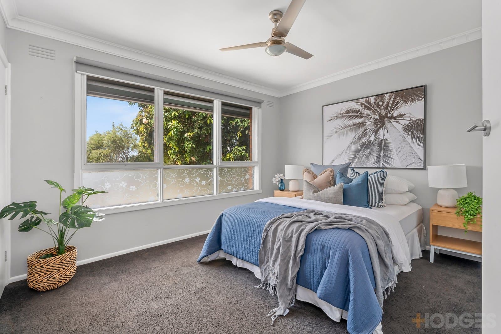 15 Edgecombe Street, Hamlyn Heights, VIC, 3215, Hamlyn Heights - Thumbnail 7