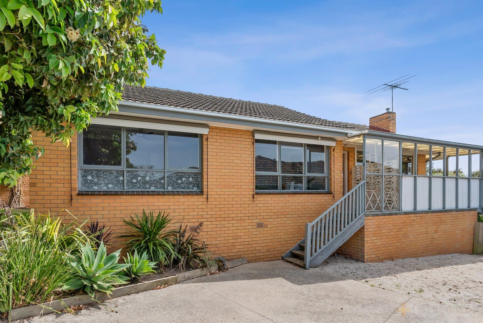 15 Edgecombe Street, Hamlyn Heights, VIC, 3215, Hamlyn Heights - Thumbnail 8