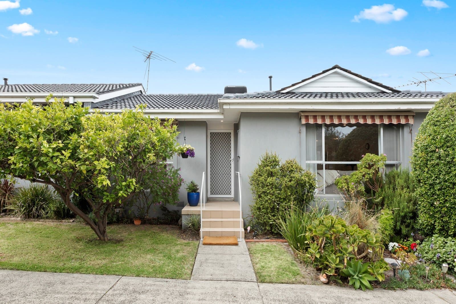 4 / 20 Middleton Street, Black Rock, VIC, 3193, Black Rock - Image 1