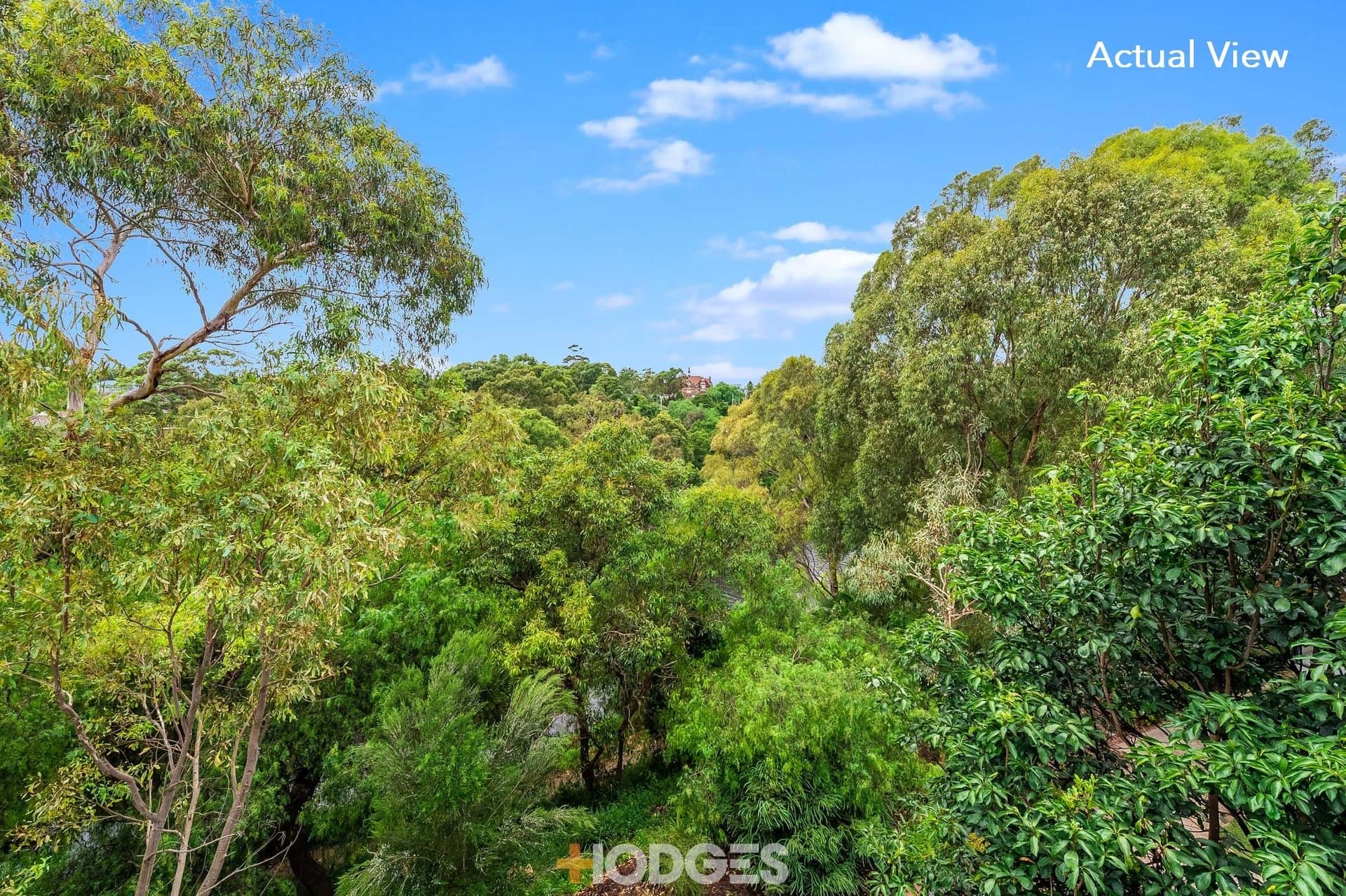 20 / 73 River Street, RICHMOND, VIC, 3121, Richmond - Thumbnail 5