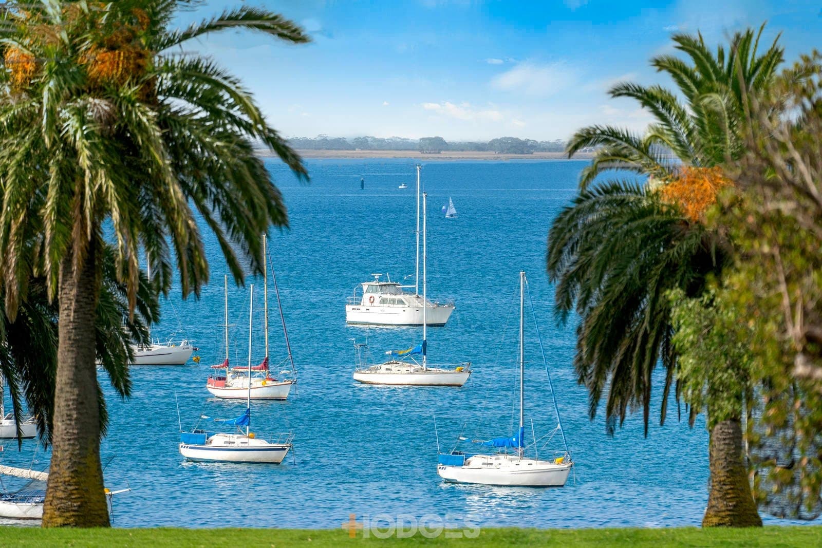 3 Kerley Street, Geelong, VIC, 3220, Geelong - Thumbnail 8