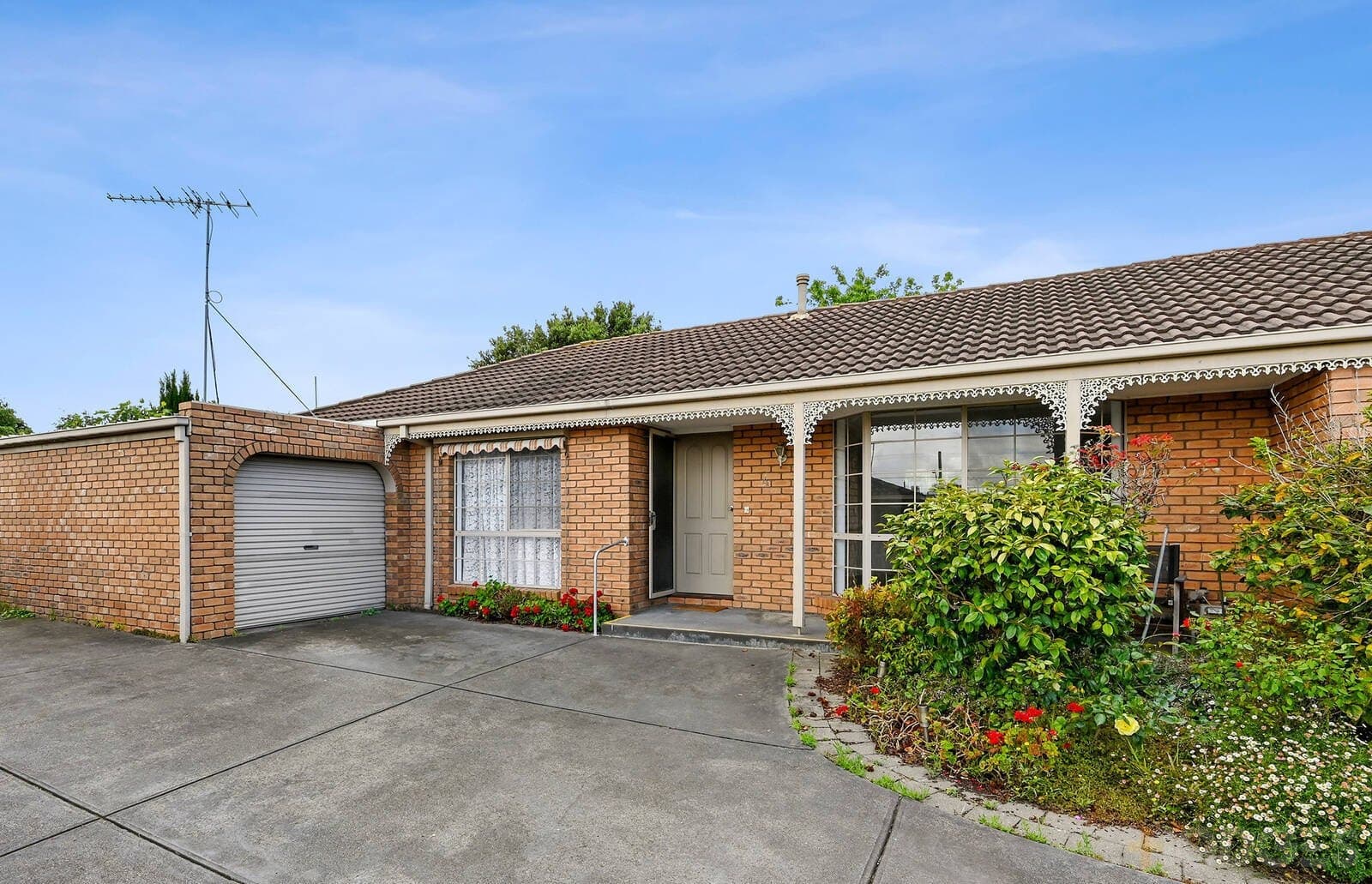 4 / 133 Aberdeen Street, Newtown, VIC, 3220, Newtown - Thumbnail 4