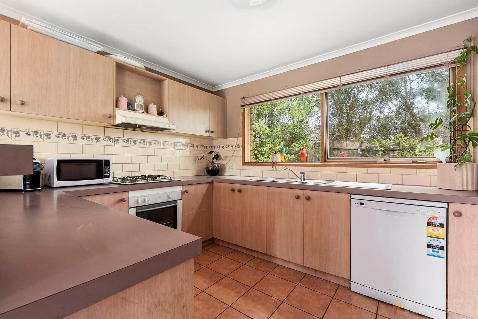 5 Narawi Avenue, Clifton Springs, VIC, 3222, Clifton Springs - Thumbnail 4