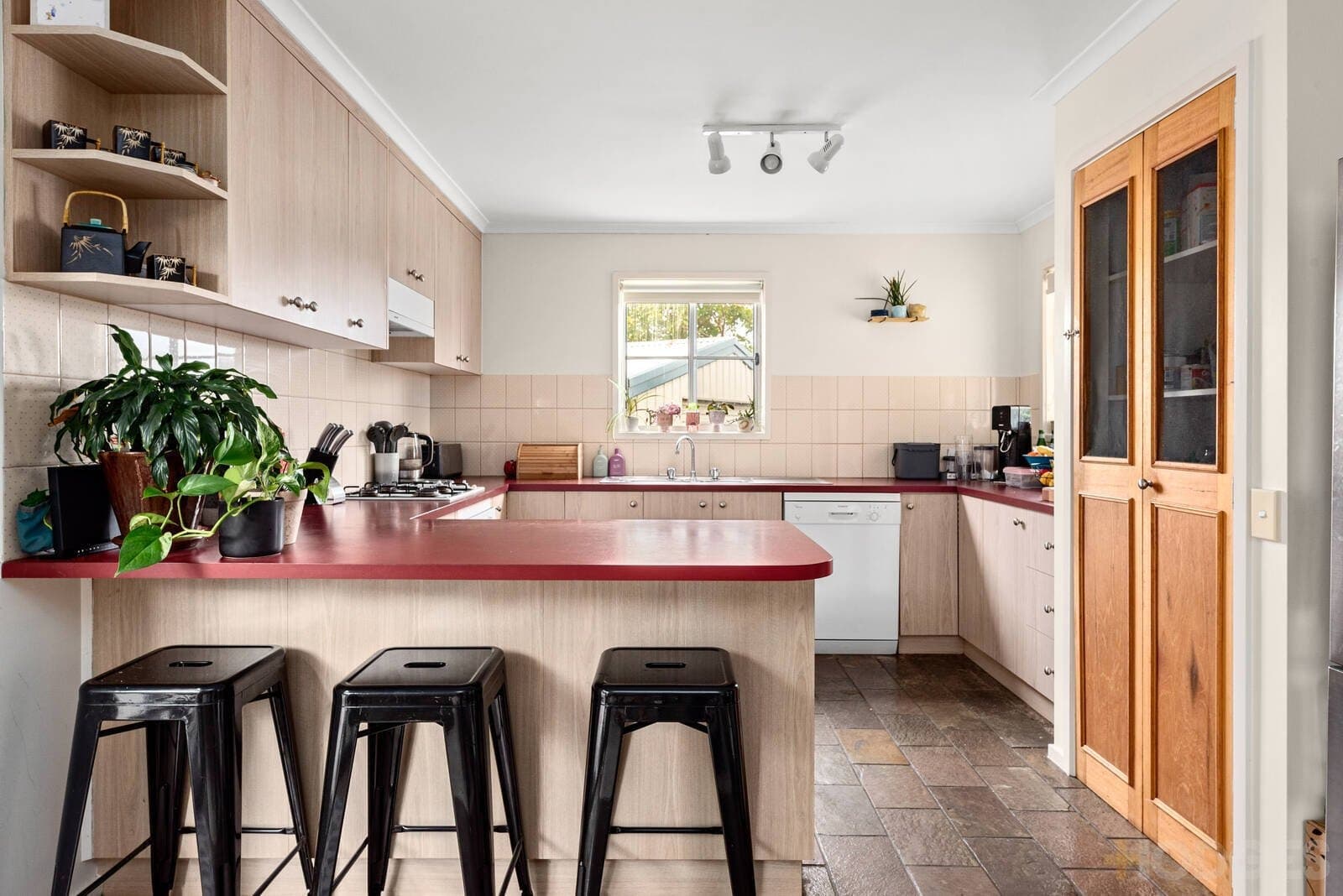 7 Tudor Court, Ocean Grove, VIC, 3226, Ocean Grove - Thumbnail 7