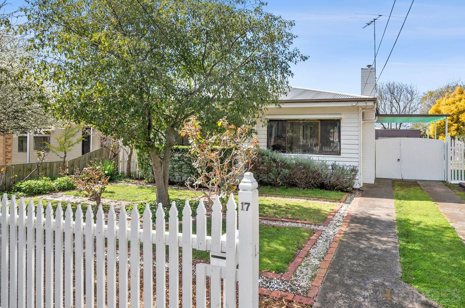 17 Little Avenue, Hamlyn Heights, VIC, 3215, Hamlyn Heights - Thumbnail 2
