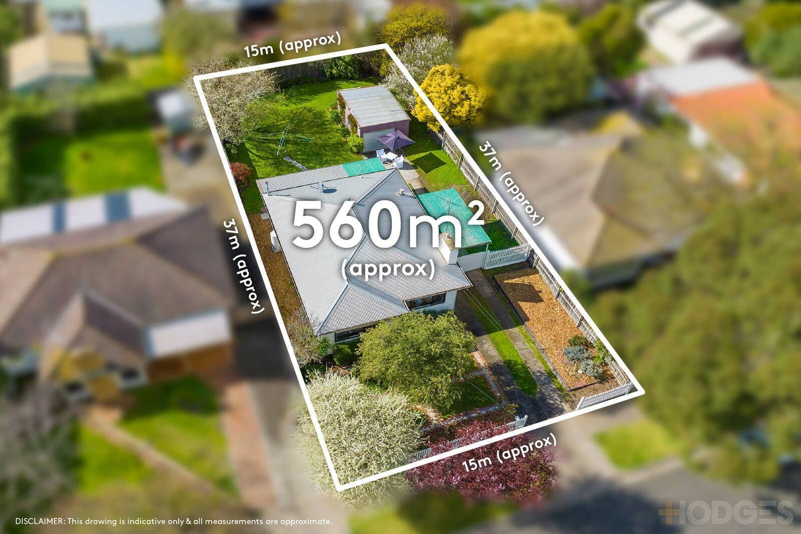17 Little Avenue, Hamlyn Heights, VIC, 3215, Hamlyn Heights - Thumbnail 3