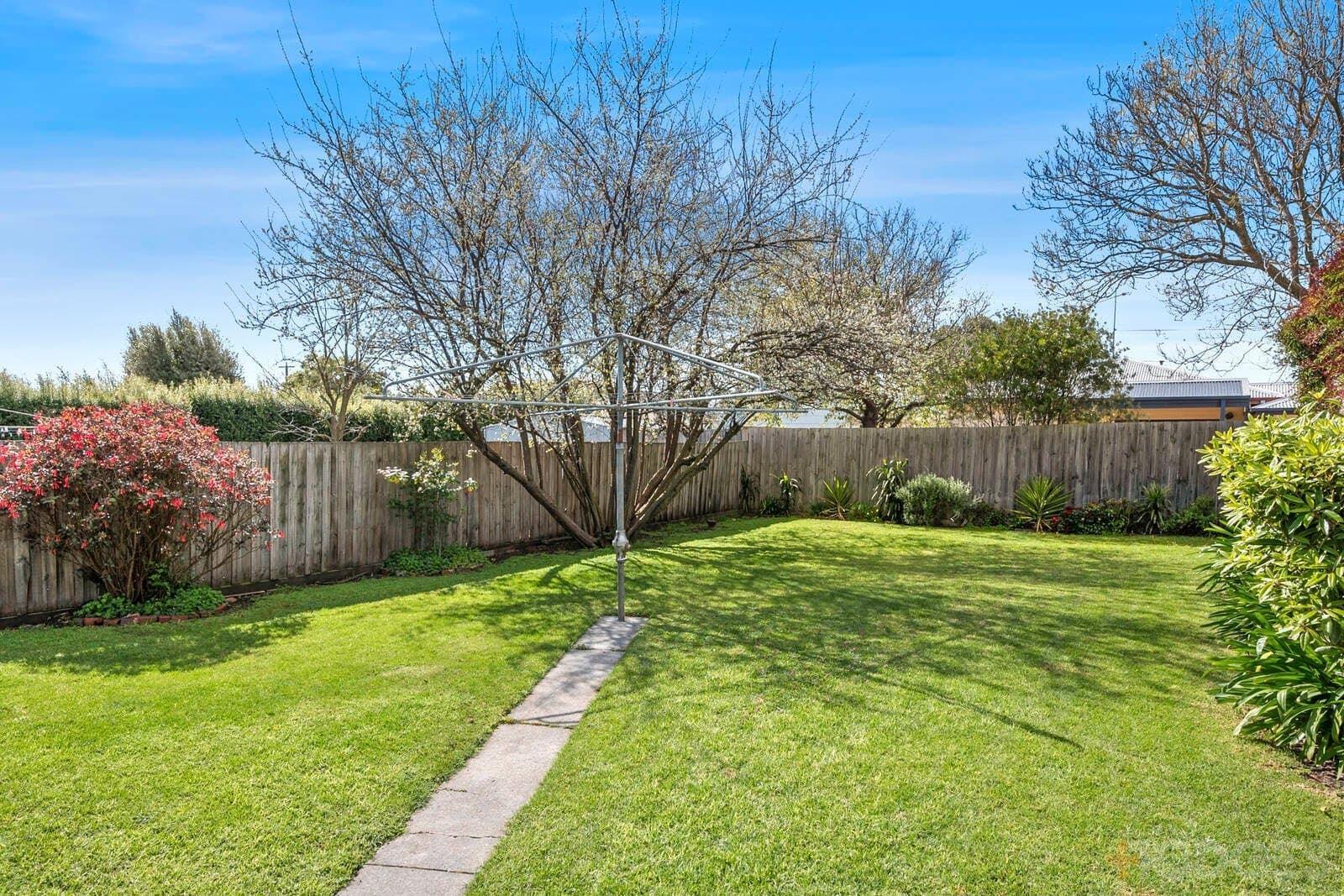 17 Little Avenue, Hamlyn Heights, VIC, 3215, Hamlyn Heights - Thumbnail 5