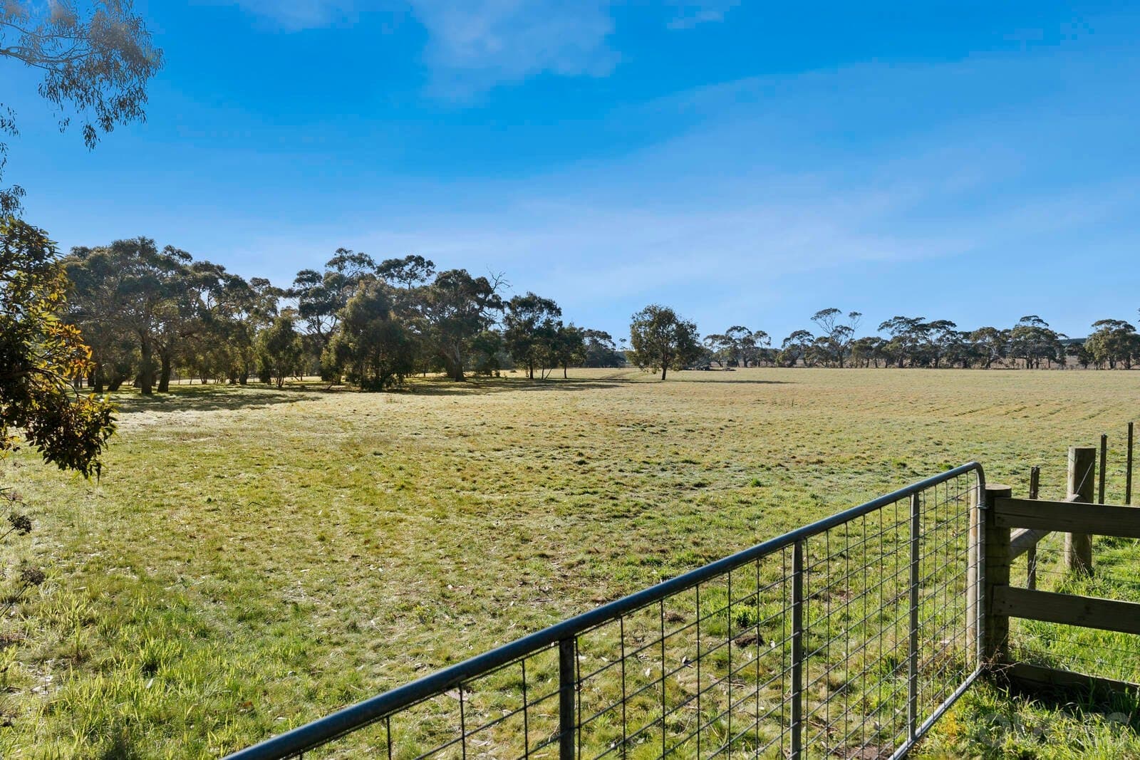 Lot 1 / 45-65 Raglan Street, Modewarre, VIC, 3240, Modewarre - Thumbnail 2