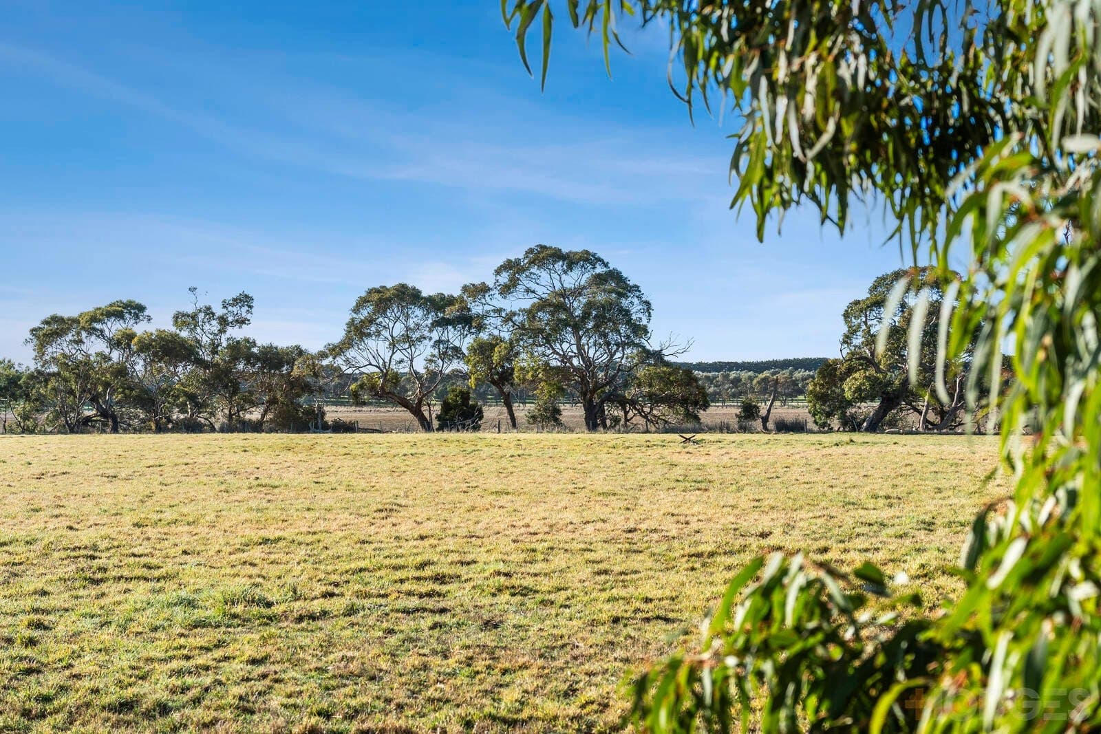 Lot 1 / 45-65 Raglan Street, Modewarre, VIC, 3240, Modewarre - Thumbnail 3
