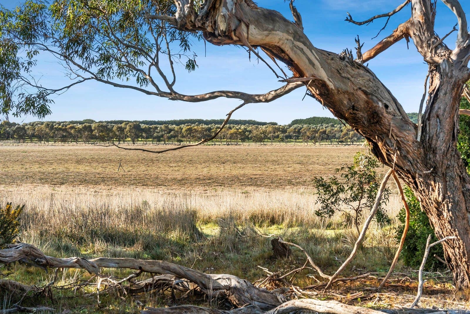 Lot 1 / 45-65 Raglan Street, Modewarre, VIC, 3240, Modewarre - Thumbnail 5