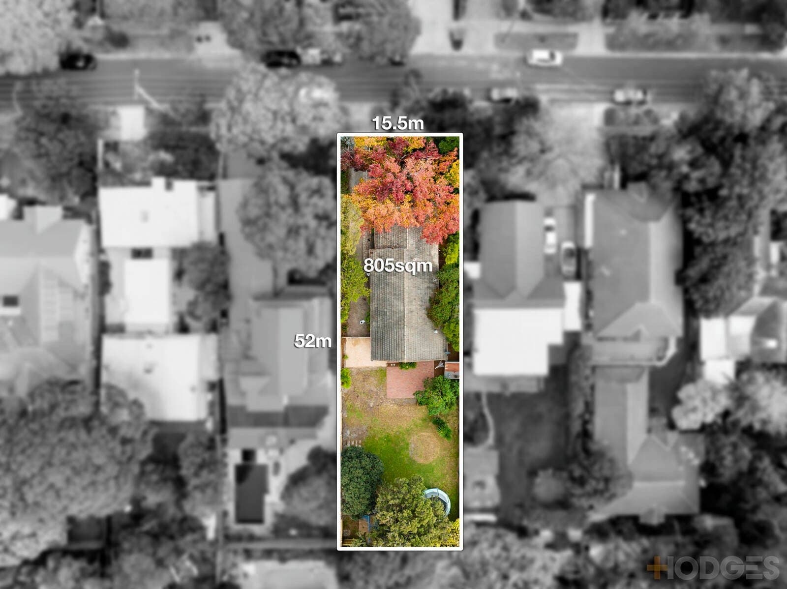 31 Hardinge Street, Beaumaris, VIC, 3193, Beaumaris - Thumbnail 2