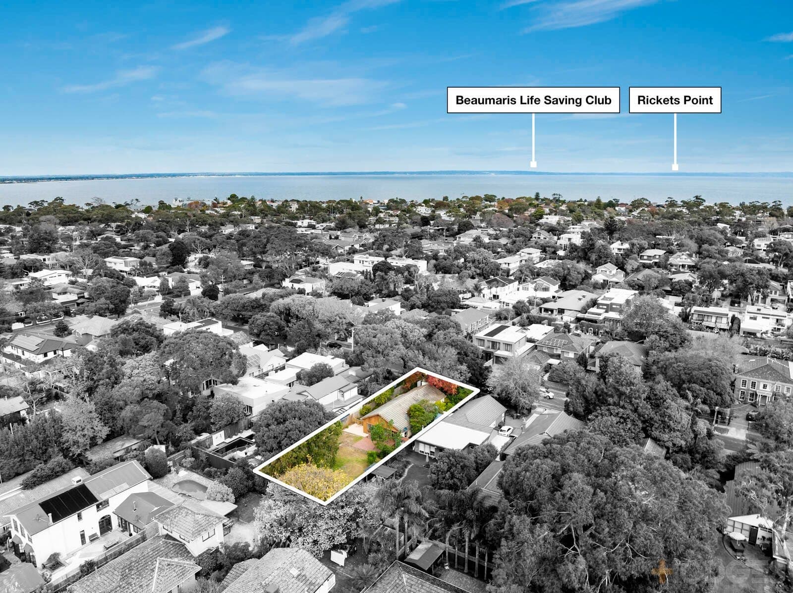 31 Hardinge Street, Beaumaris, VIC, 3193, Beaumaris - Thumbnail 3