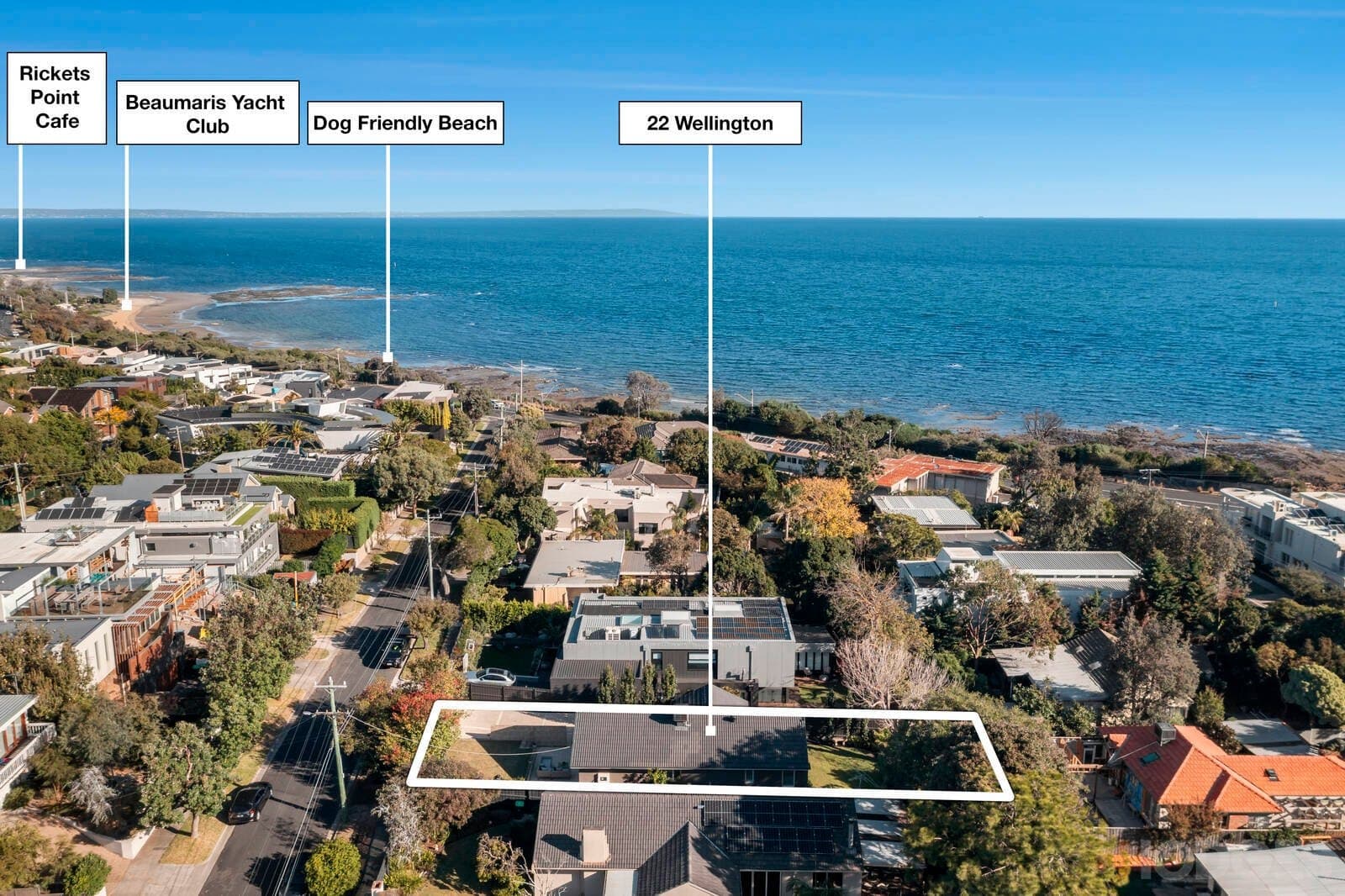 22 Wellington Avenue, Beaumaris, VIC, 3193, Beaumaris - Image 1