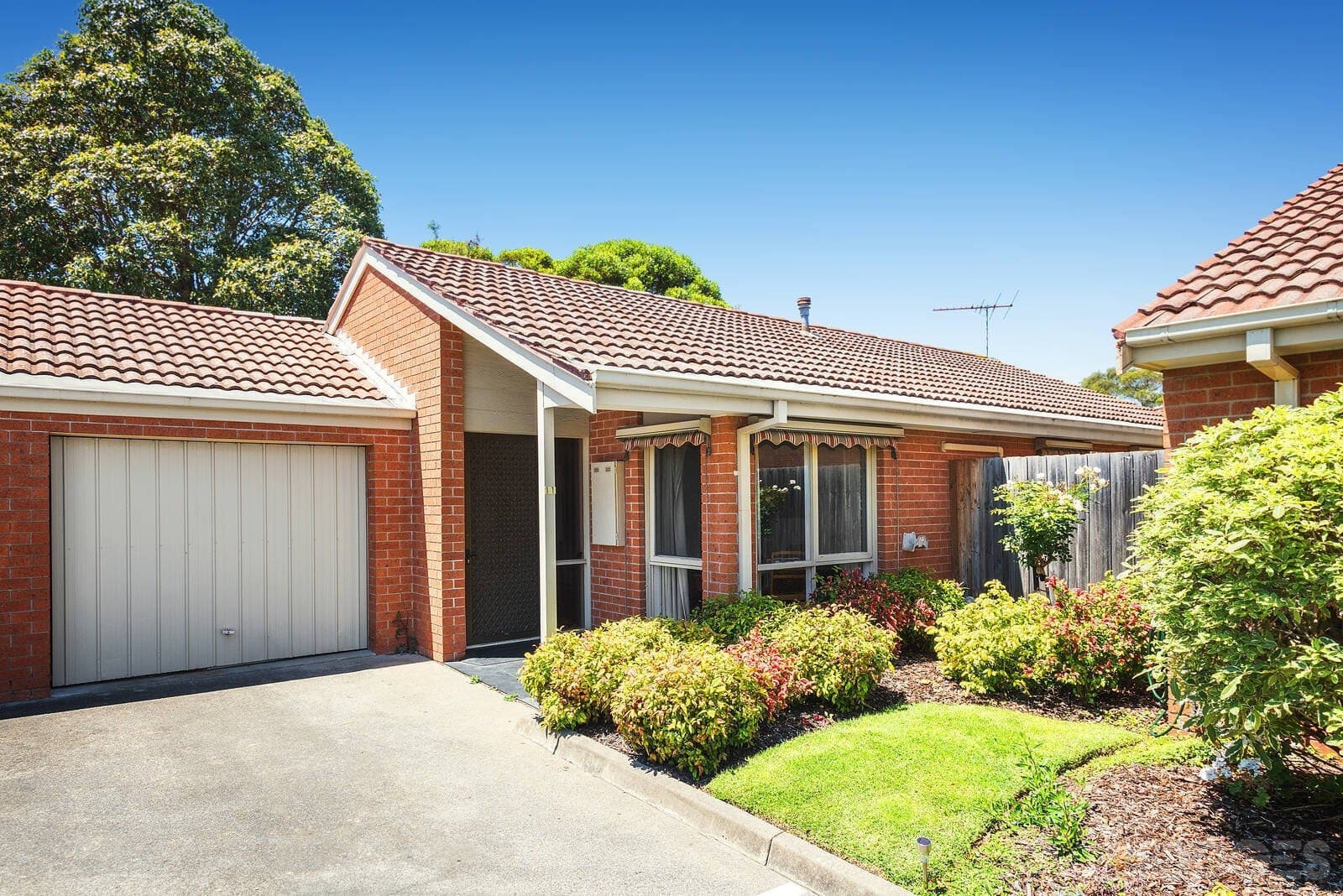 11 / 82-90 Wilson Street, Cheltenham, VIC, 3192, Cheltenham - Image 1