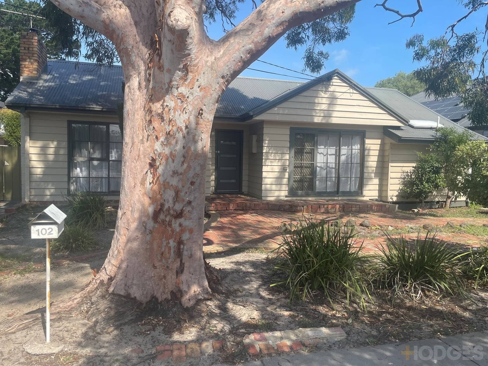 102 Elsie Grove, Chelsea, VIC, 3196, Chelsea - Image 1