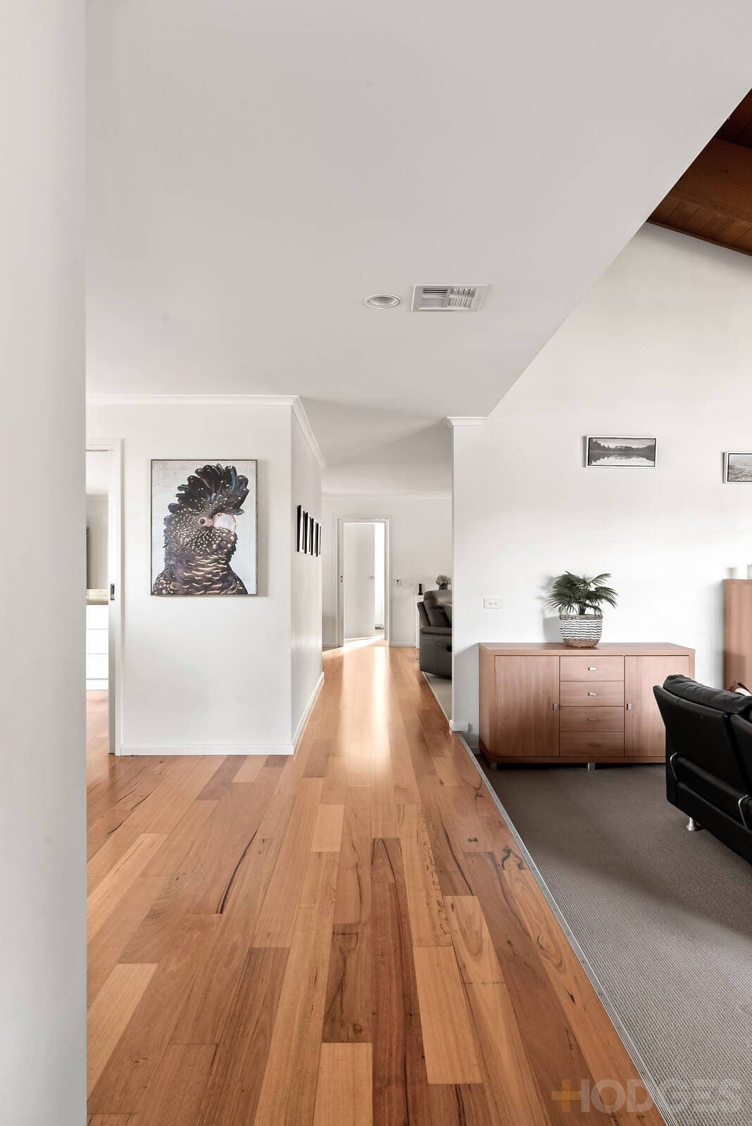 15 Trident Court, Ocean Grove, VIC, 3226, Ocean Grove - Thumbnail 4