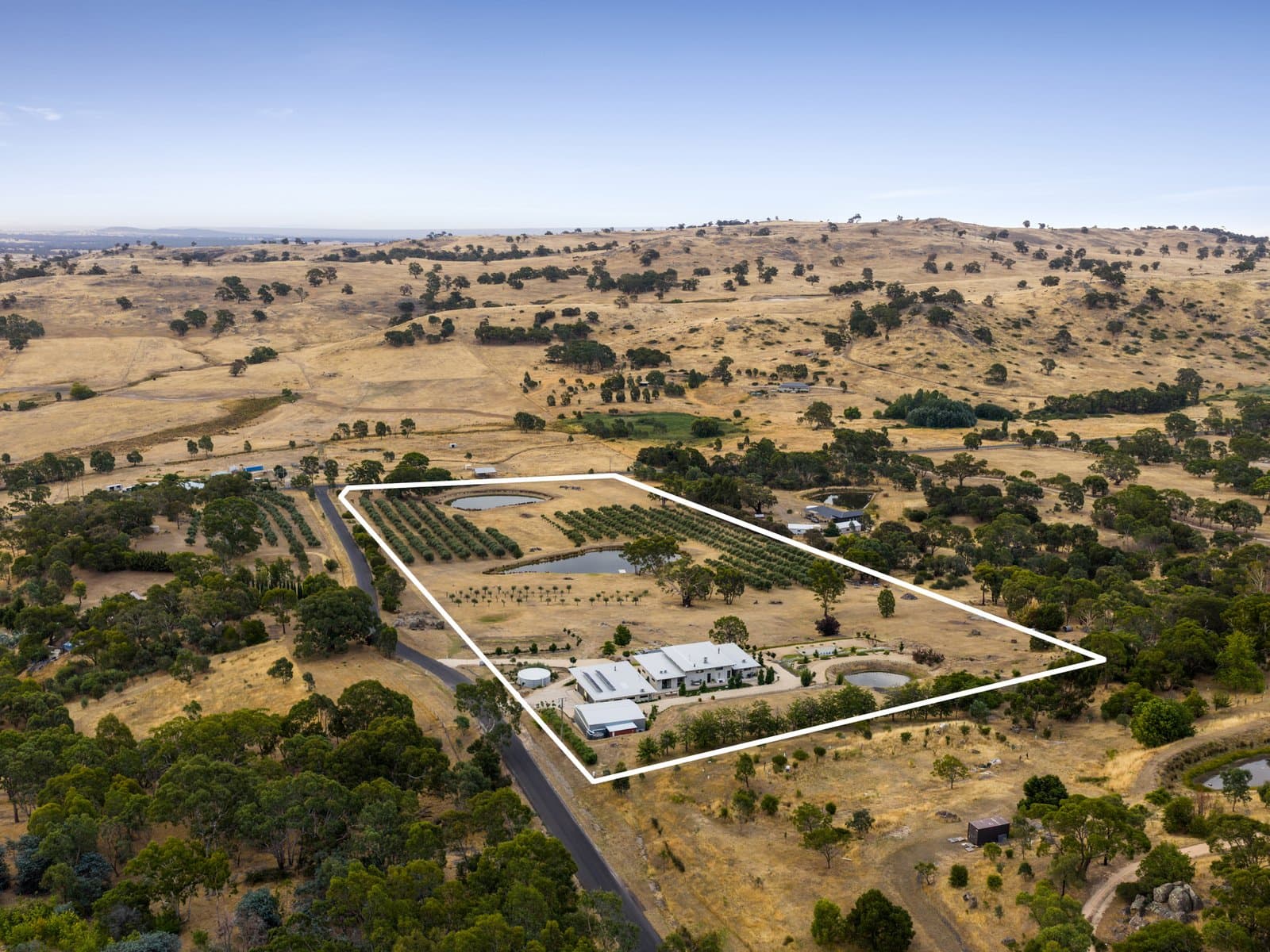 39 Barker Road, Harcourt North, Harcourt North - Thumbnail 4