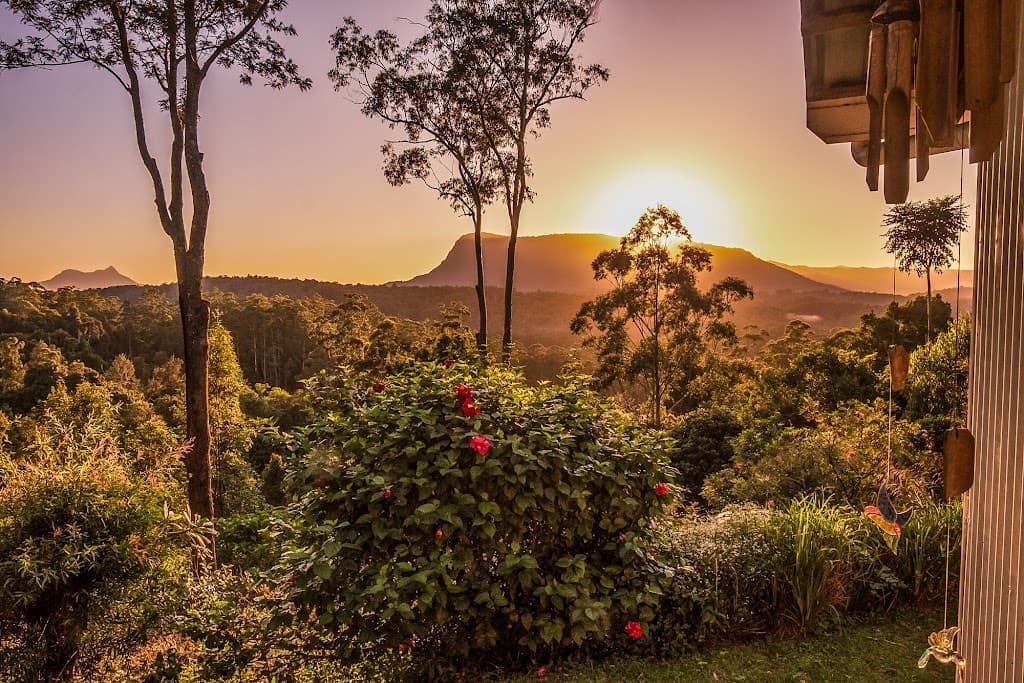 13/4505 Kyogle Road, Wadeville, NSW, 2474, Wadeville - Thumbnail 2