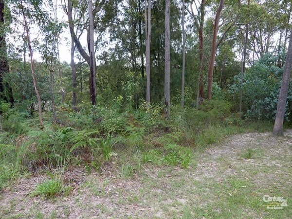 135 Macquarie Road, Springwood, NSW, 2777, Springwood - Thumbnail 2