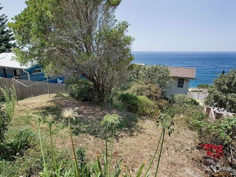 31 Newland Street, Bondi Junction, NSW, 2022, South Coogee - Thumbnail 5