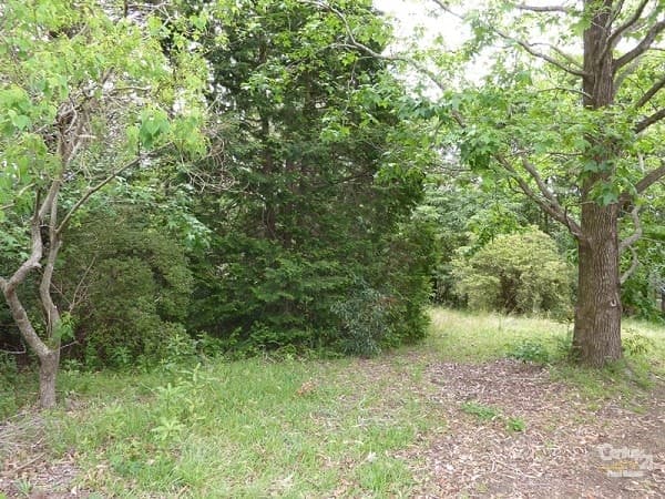 CHEVRON ISLAND, QLD, Chevron Island - Image 1